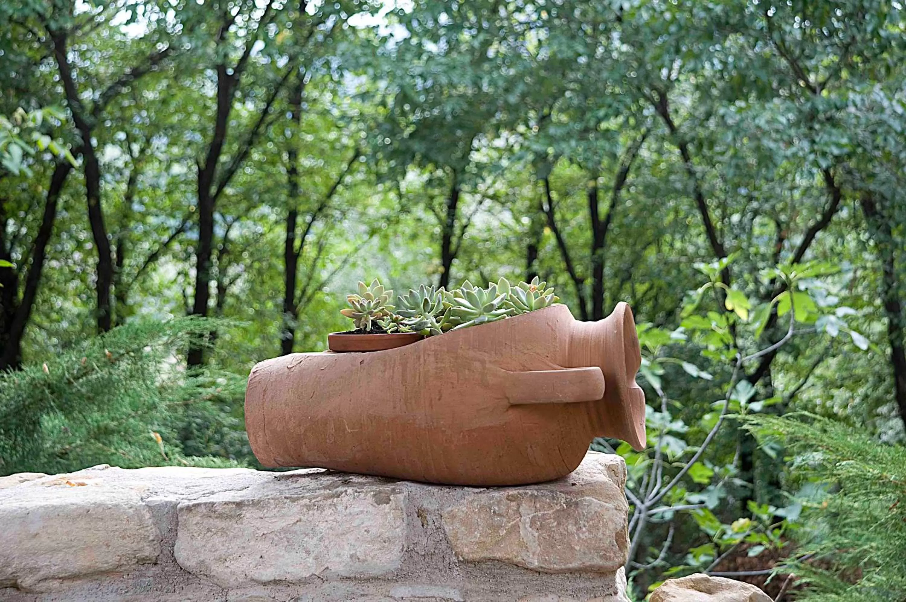 Decorative detail, Other Animals in Casale del Monsignore