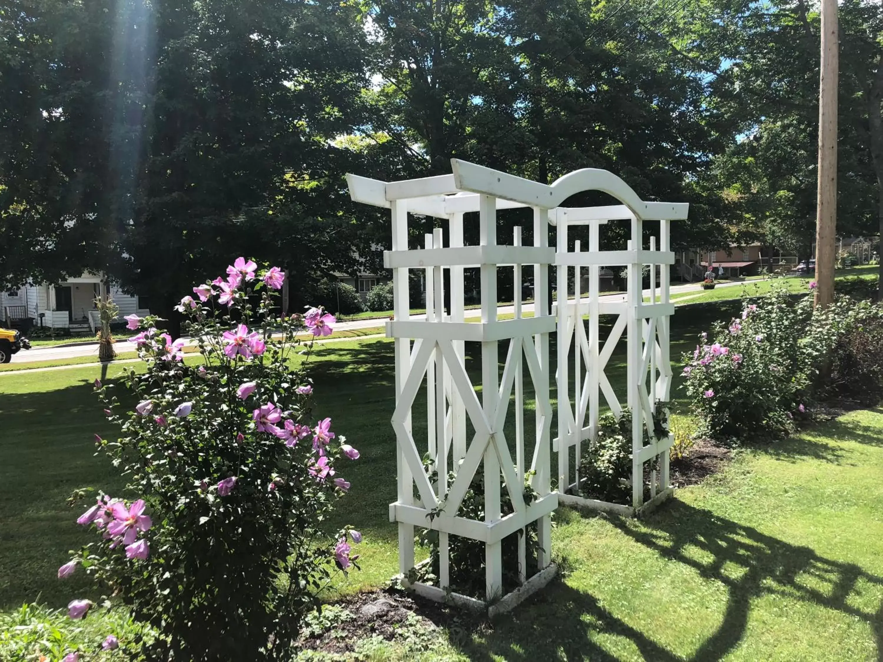 Garden in Stamford Gables Bed and Breakfast