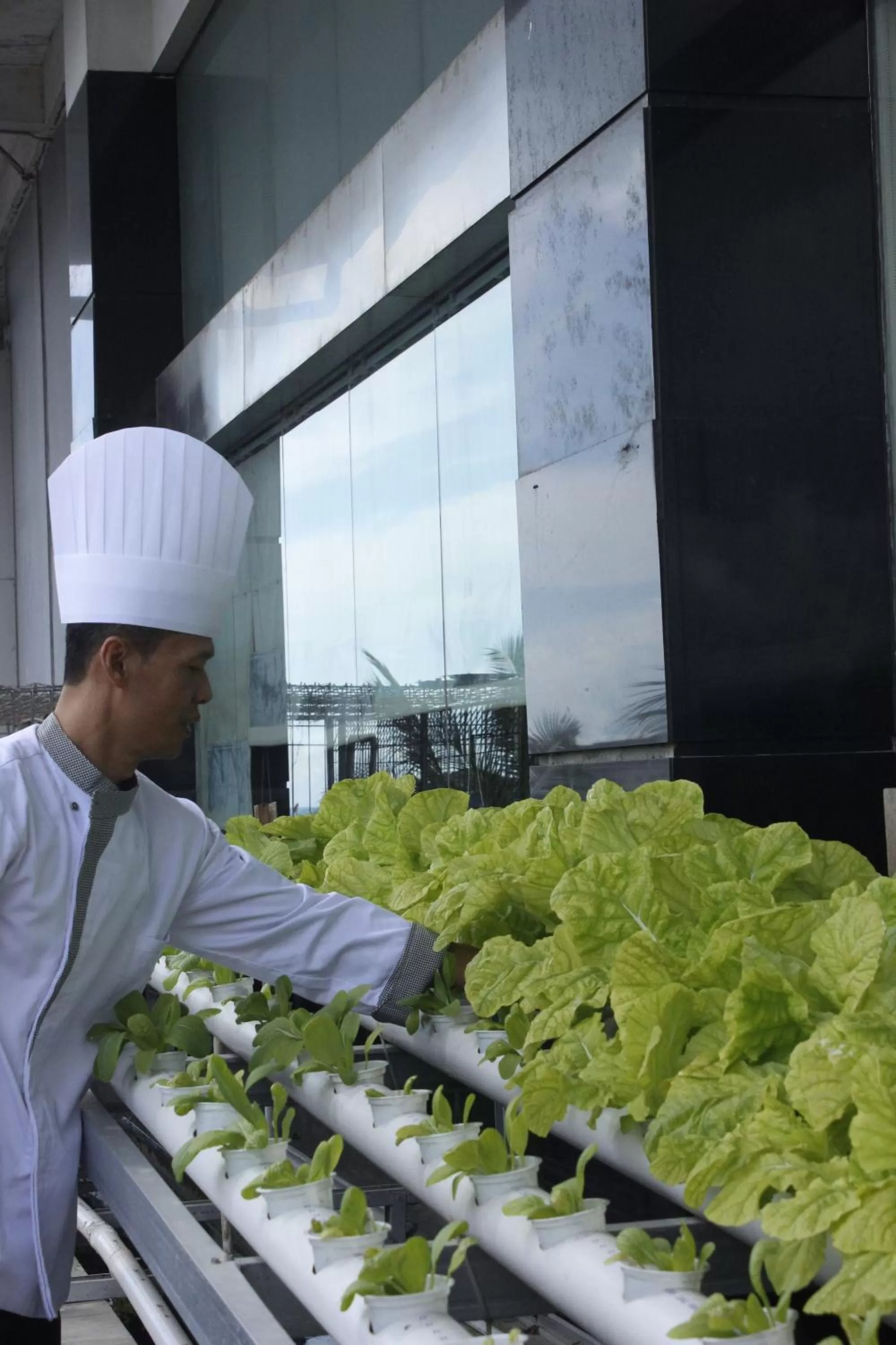 Staff in Novotel Balikpapan
