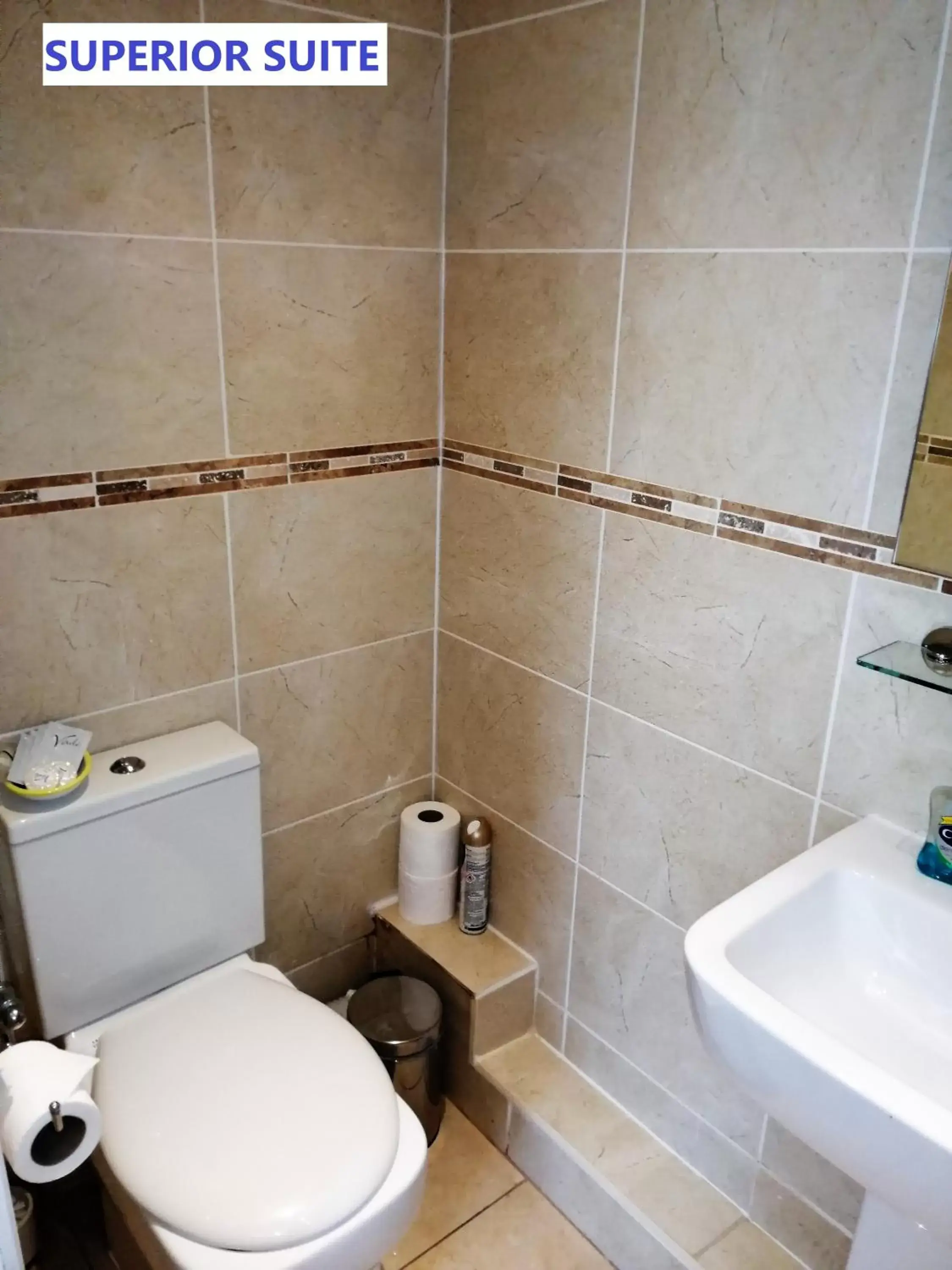 Shower, Bathroom in Edinburgh City Suites