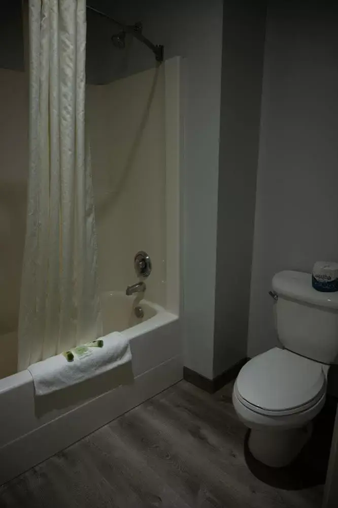 Shower, Bathroom in The Beaverhead Lodge