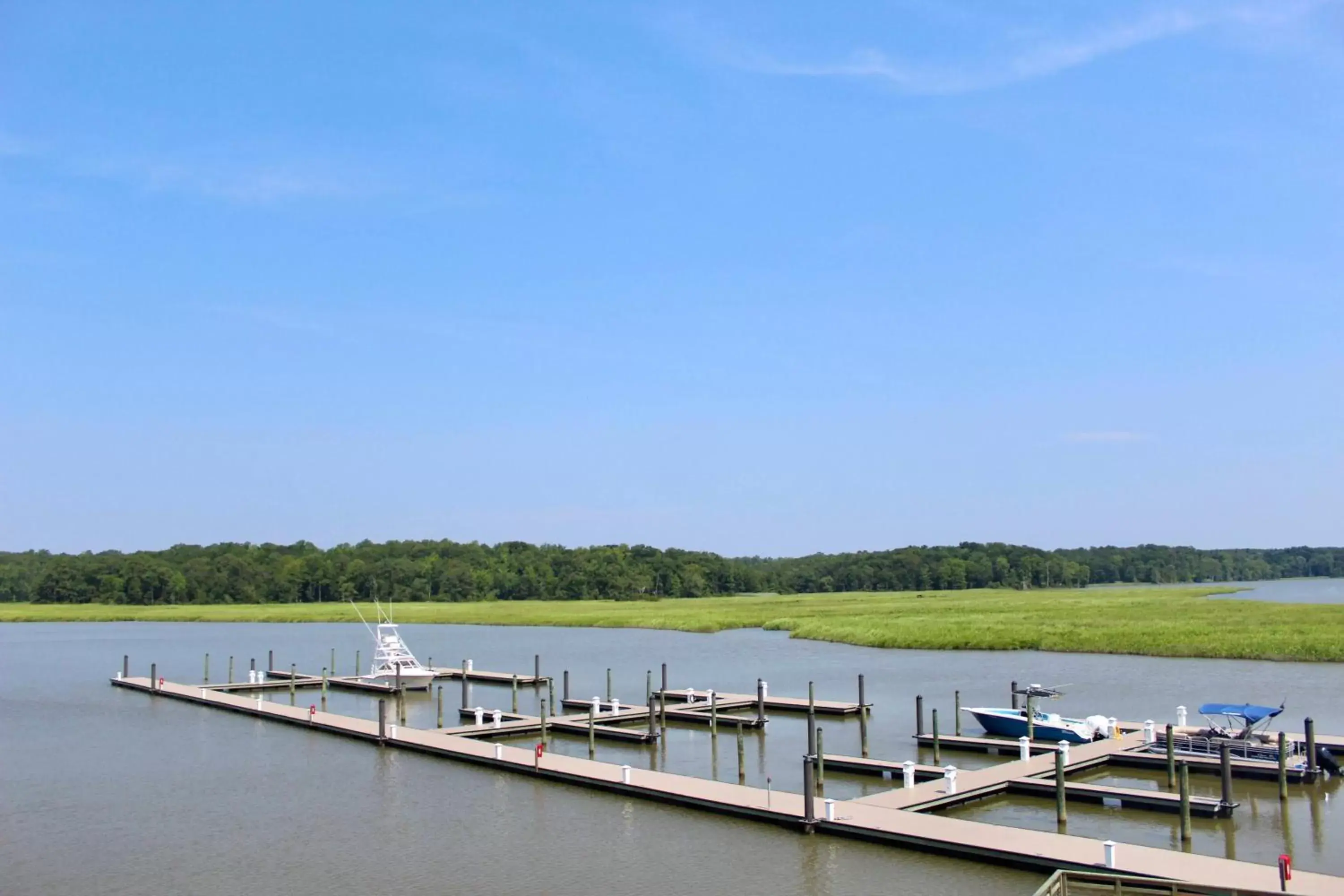 Natural landscape in Surry Seafood Company