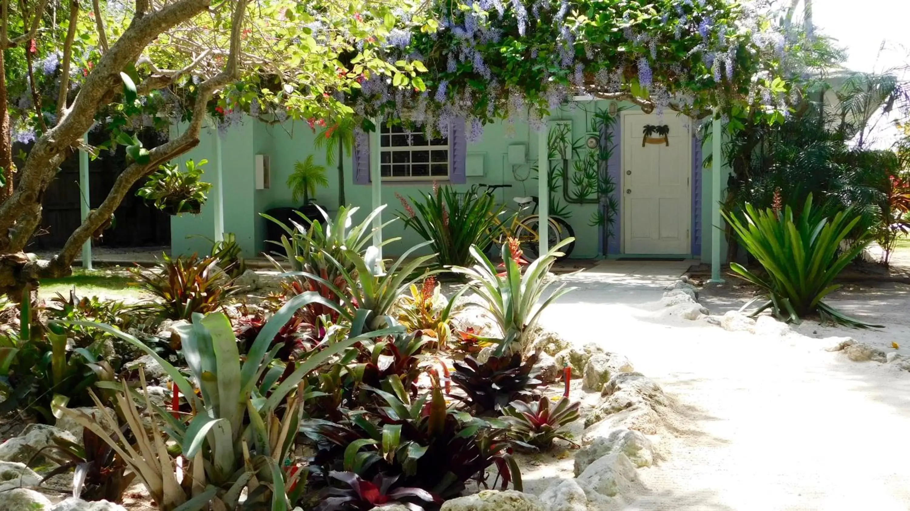 Garden, Property Building in Pines & Palms Resort