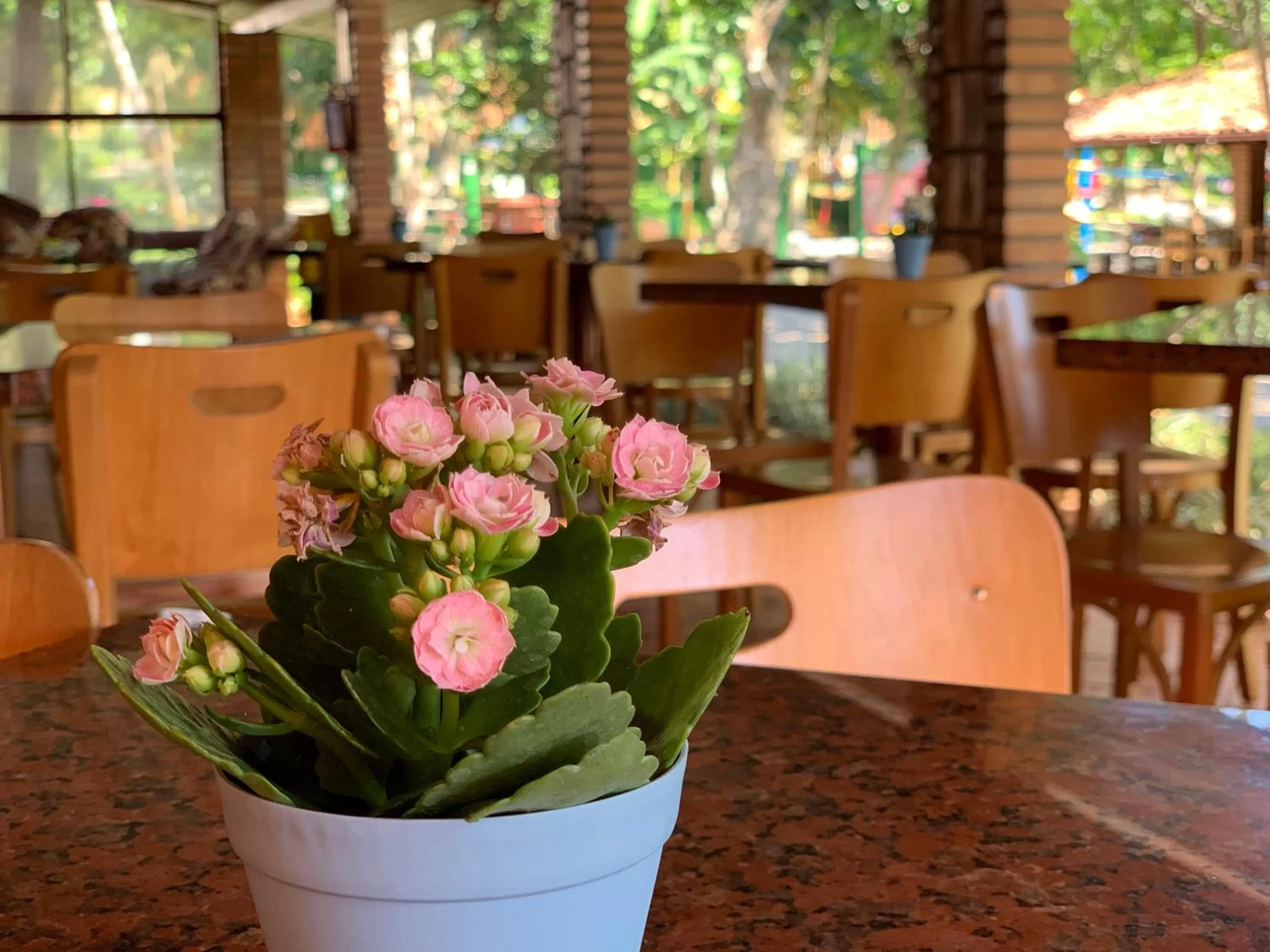 Restaurant/places to eat in Hotel São Sebastião da Praia