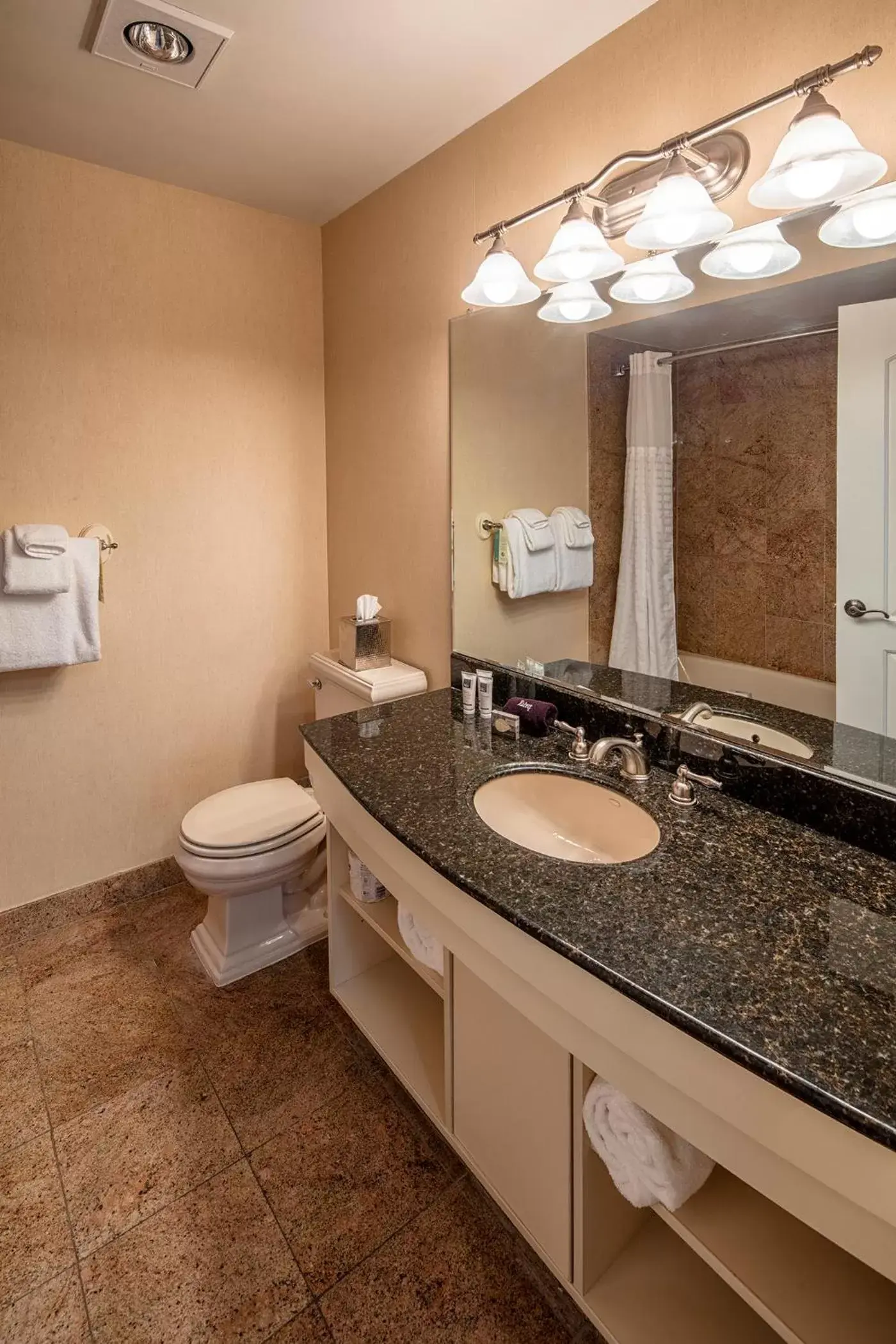 Bathroom in Collegian Hotel & Suites, Trademark Collection by Wyndham
