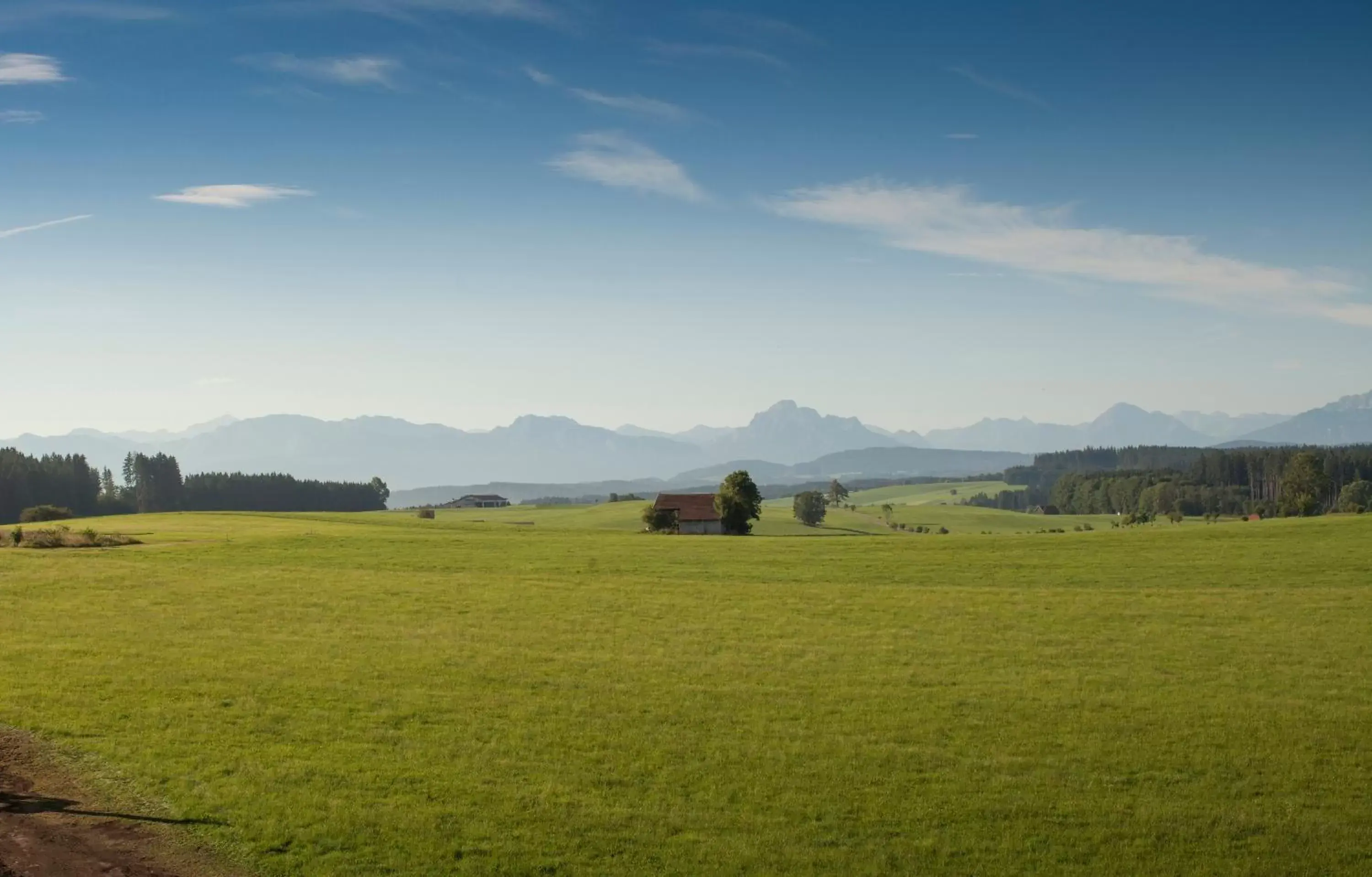 Double Room Weitblick - single occupancy in Das Weitblick Allgäu Double Room Weitblick - single occupancy in Das Weitblick Allgäu