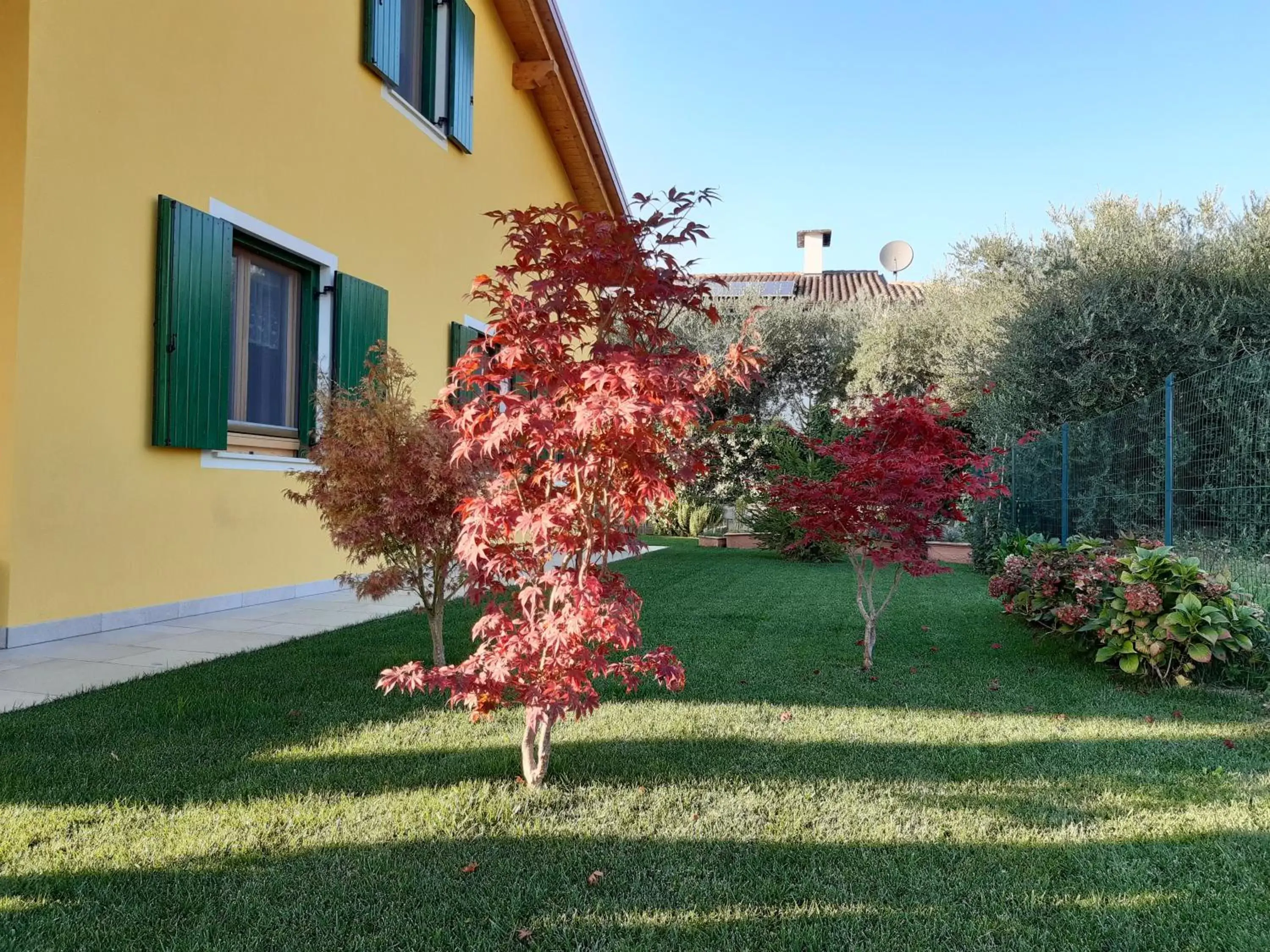 Garden in B&B Mimosa e Lillà