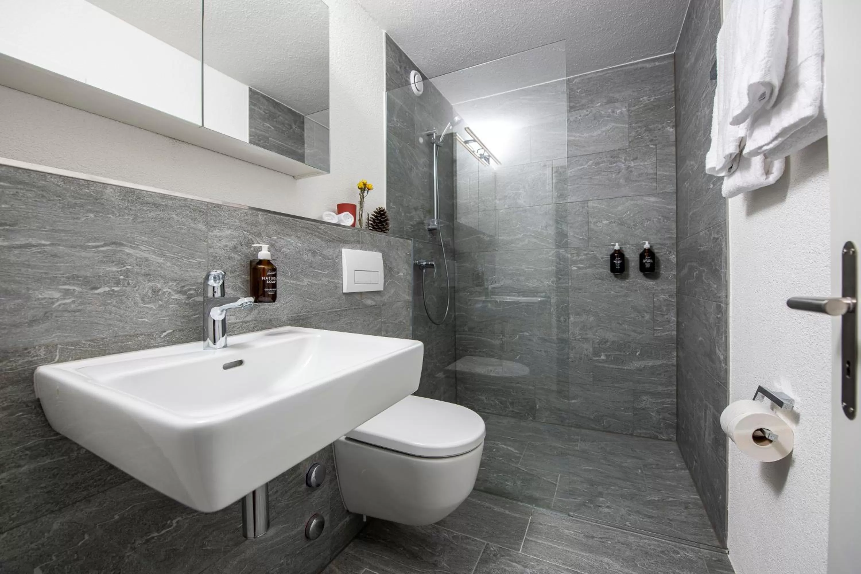 Toilet in Flem Mountain Lodge