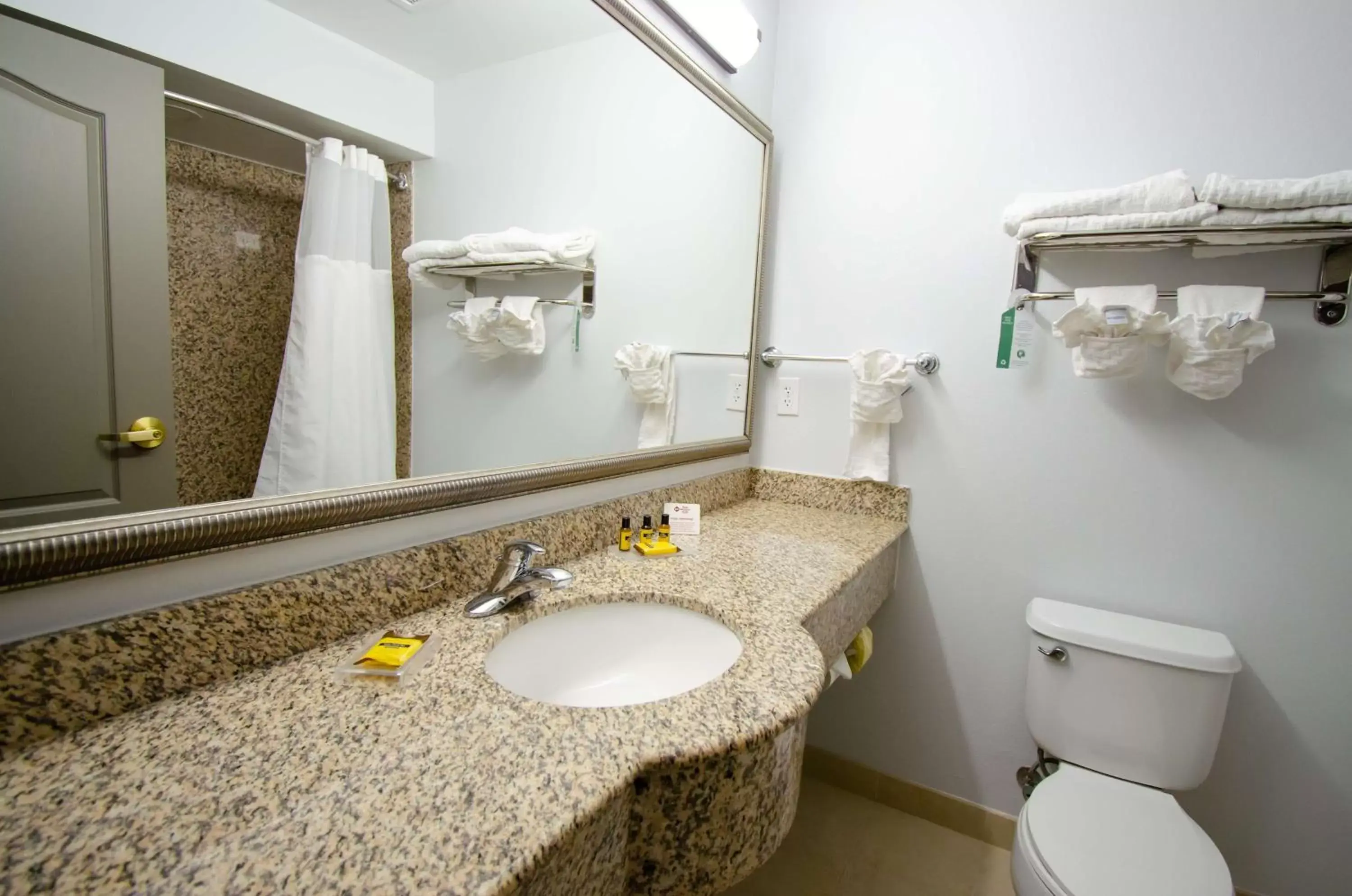 Bathroom in Best Western Plus First Coast Inn and Suites