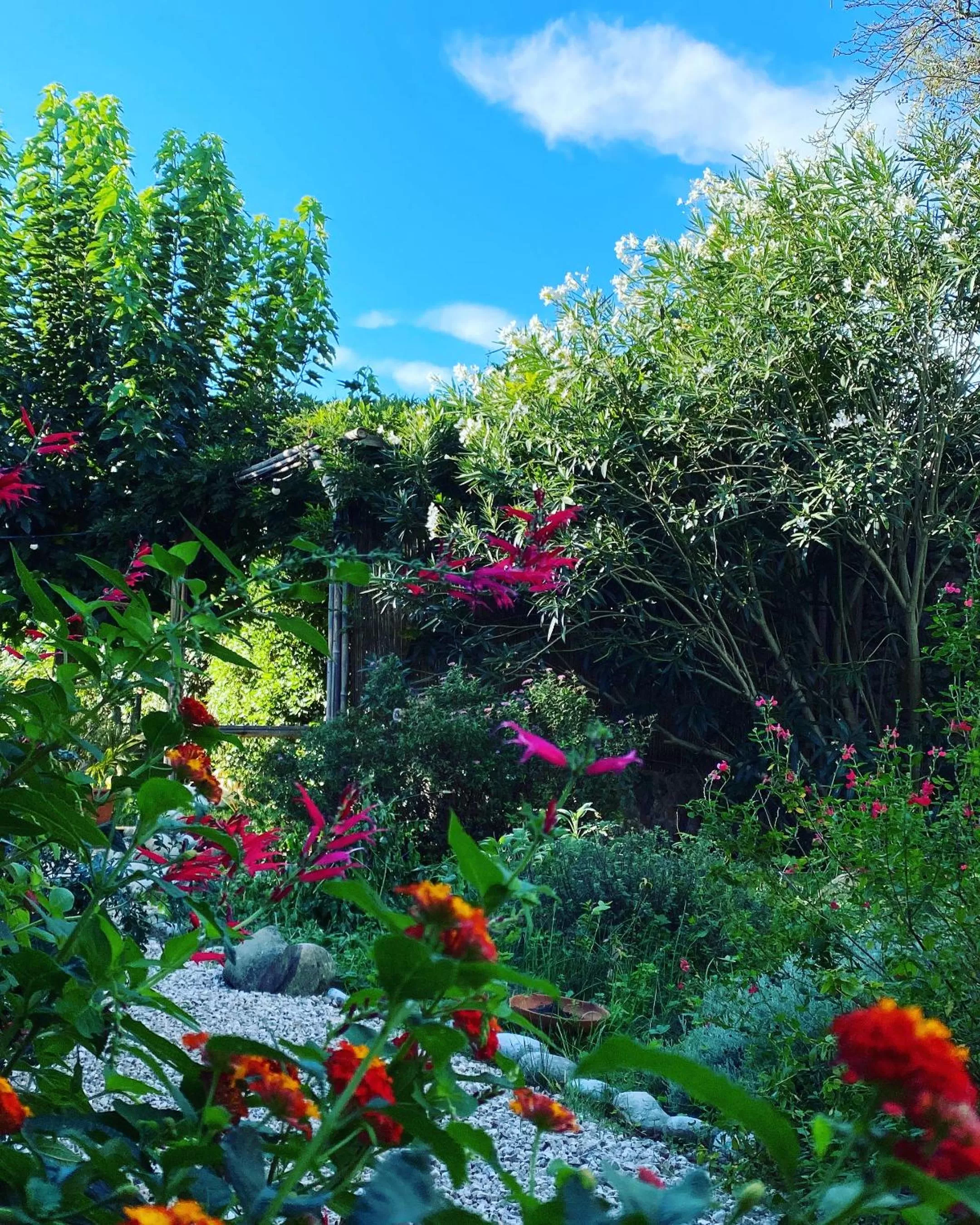Garden in La Poterie
