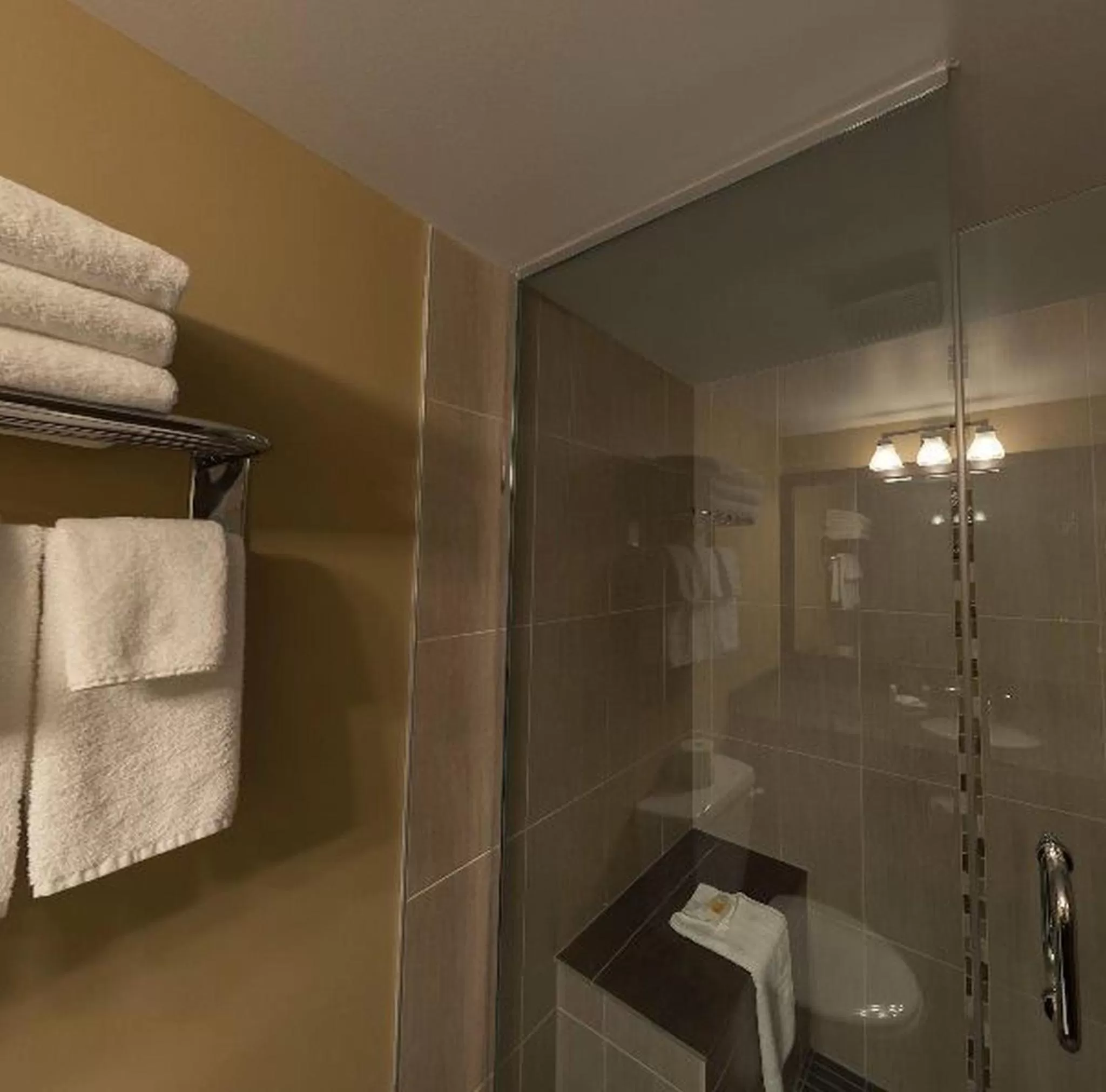 Shower in Days Inn by Wyndham Calgary Northwest