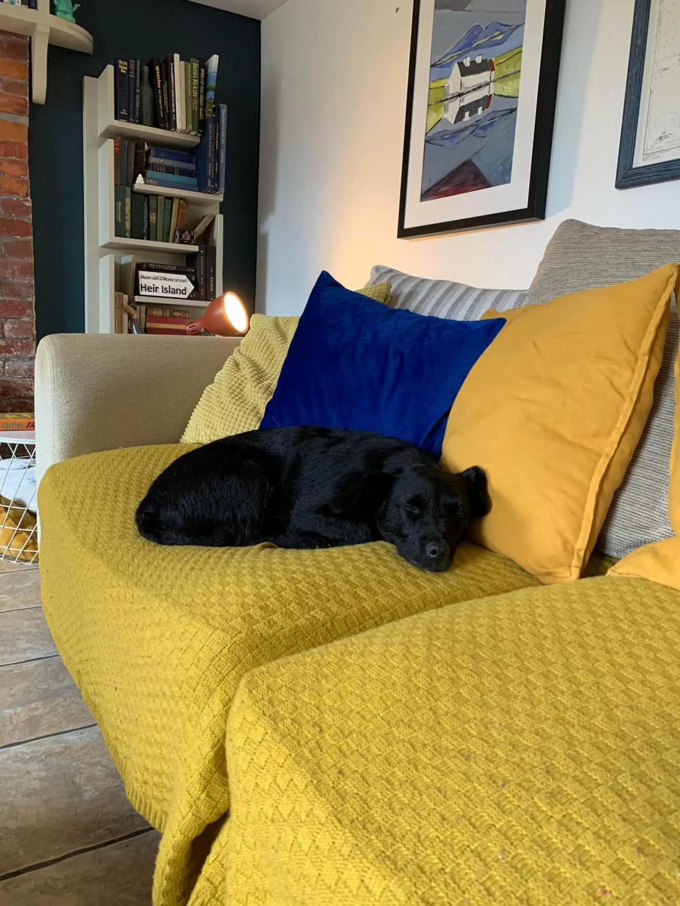 Game Room, Pets in Heir Island House