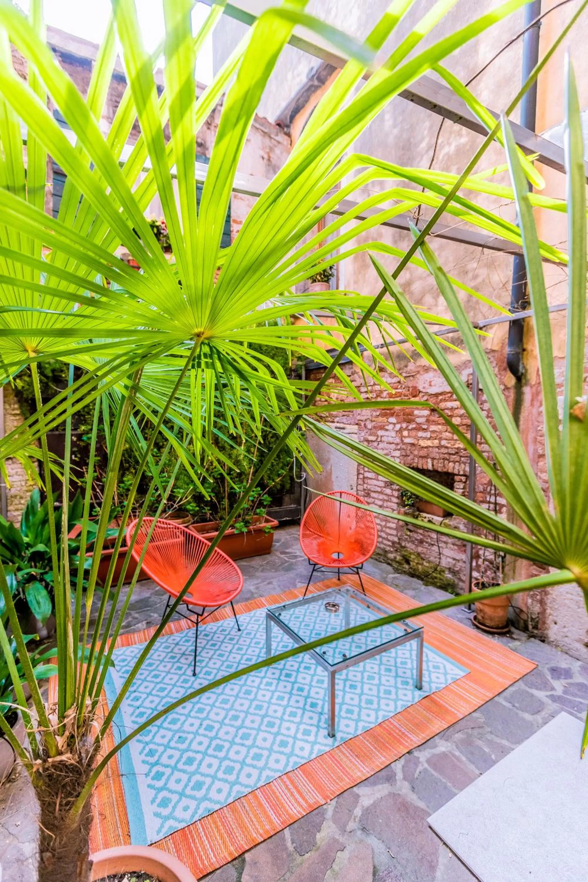 Patio in Avogaria 5 Rooms