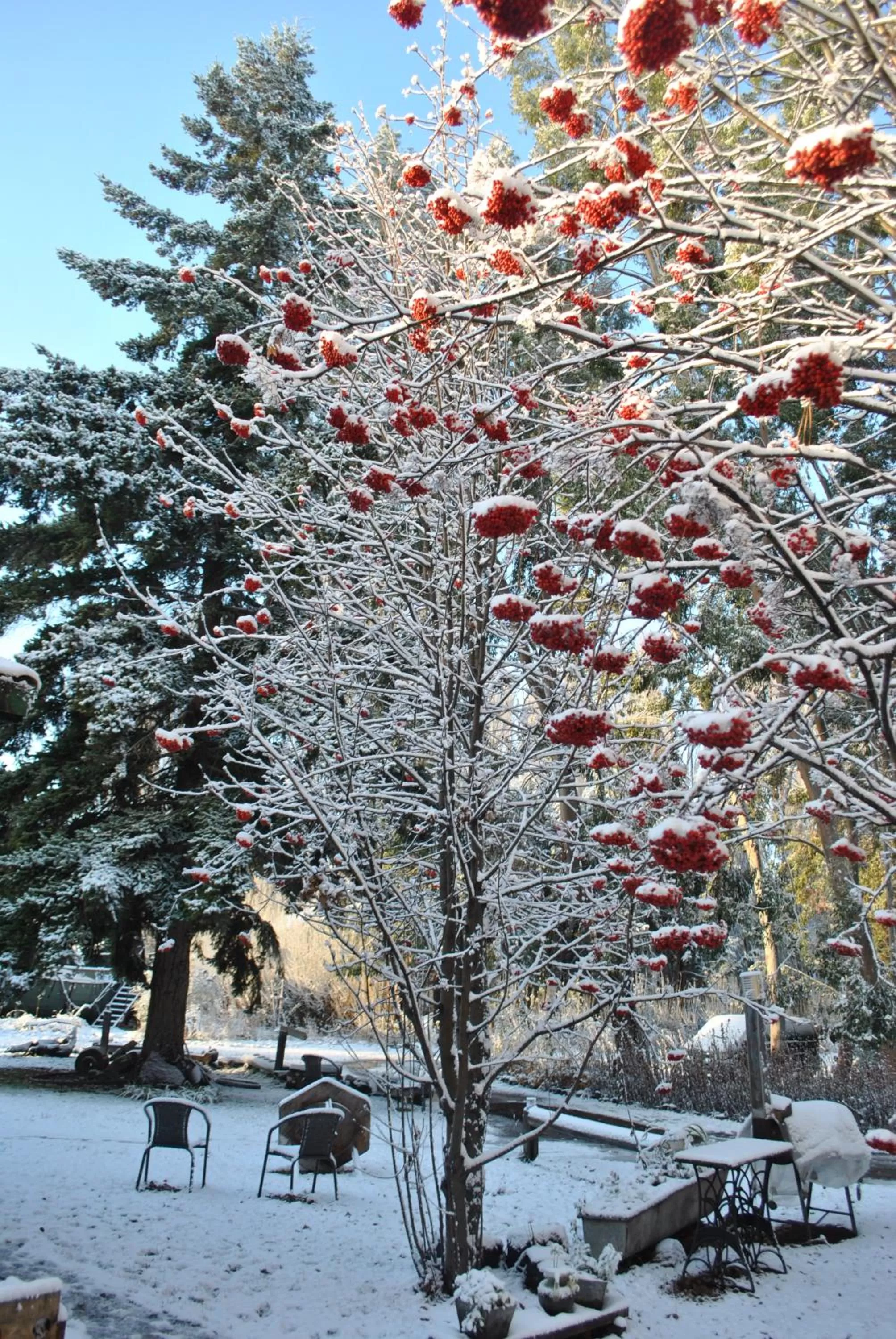 Winter in Hostería de la Patagonia