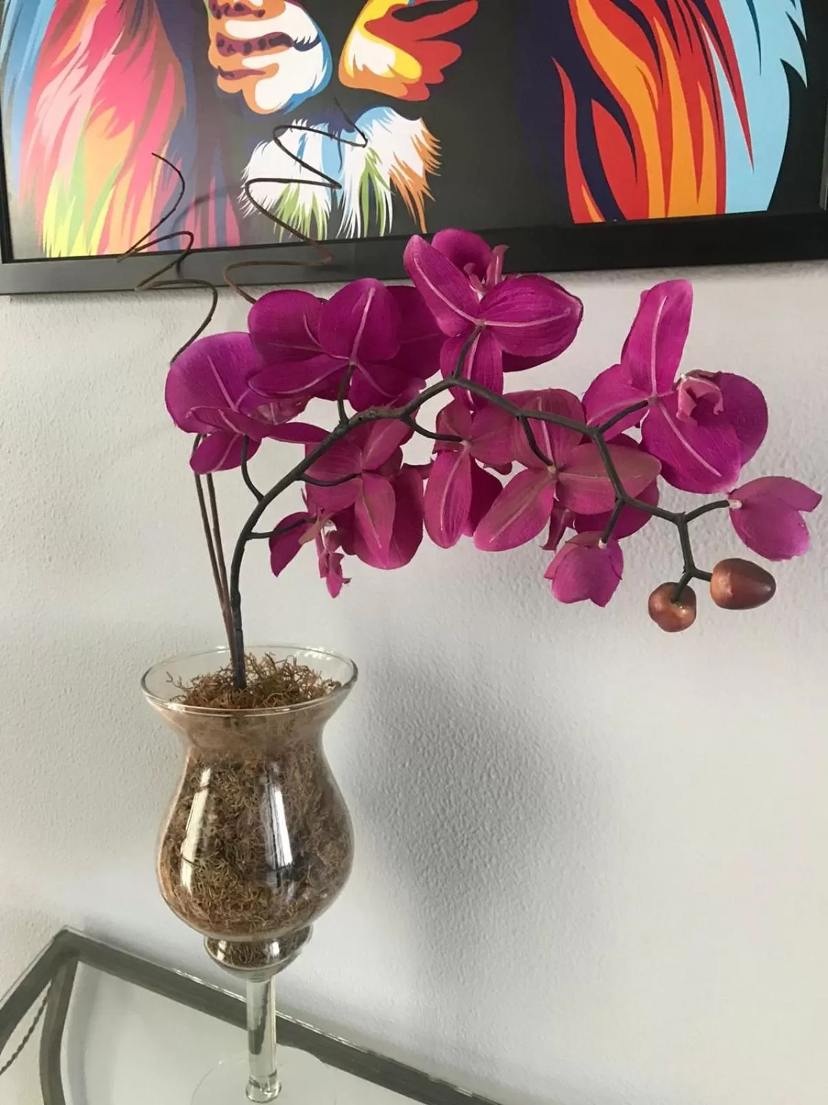 Property building in Hotel Alfa de Bauru Ltda