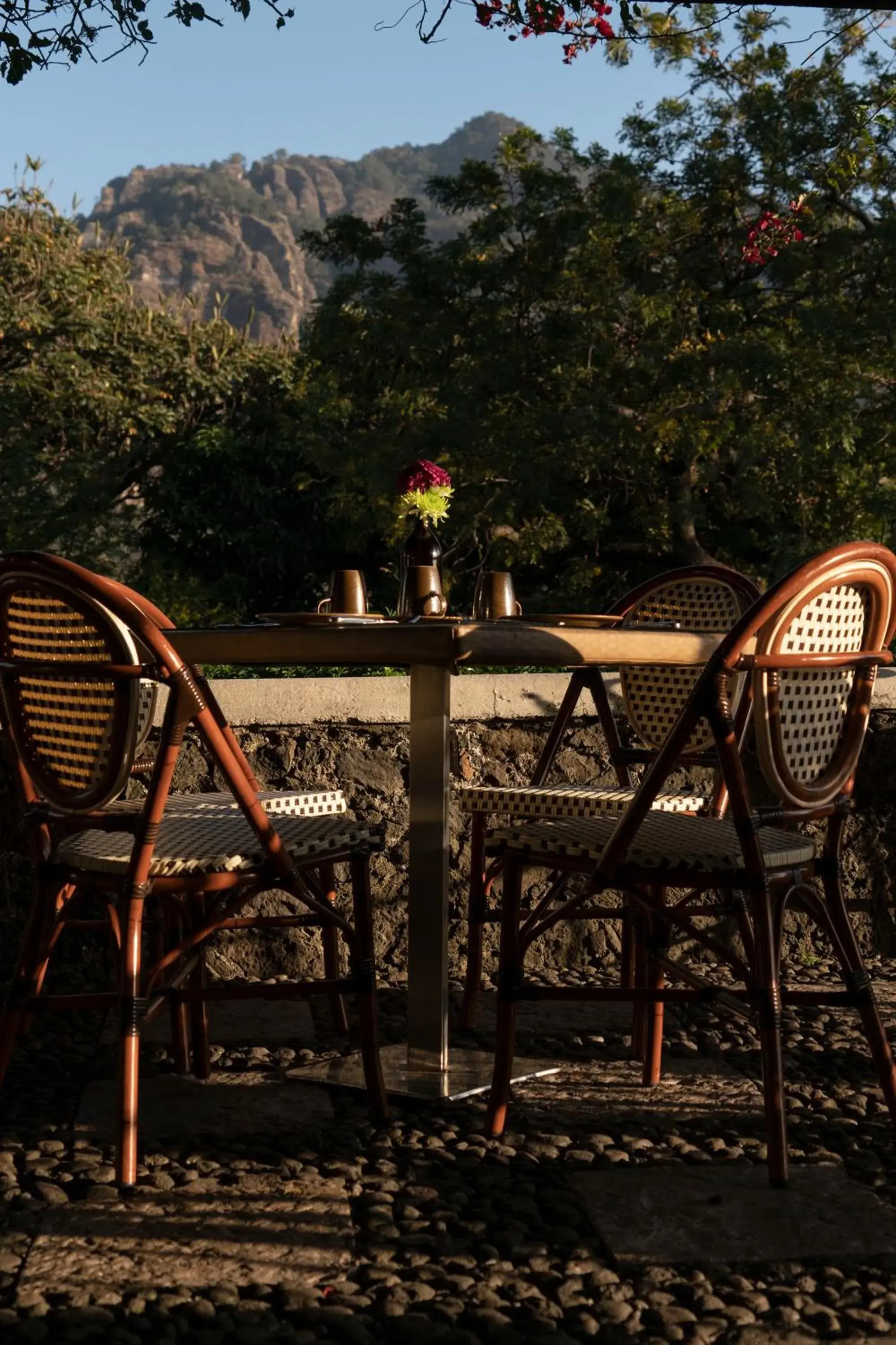 Restaurant/places to eat in Posada del Tepozteco