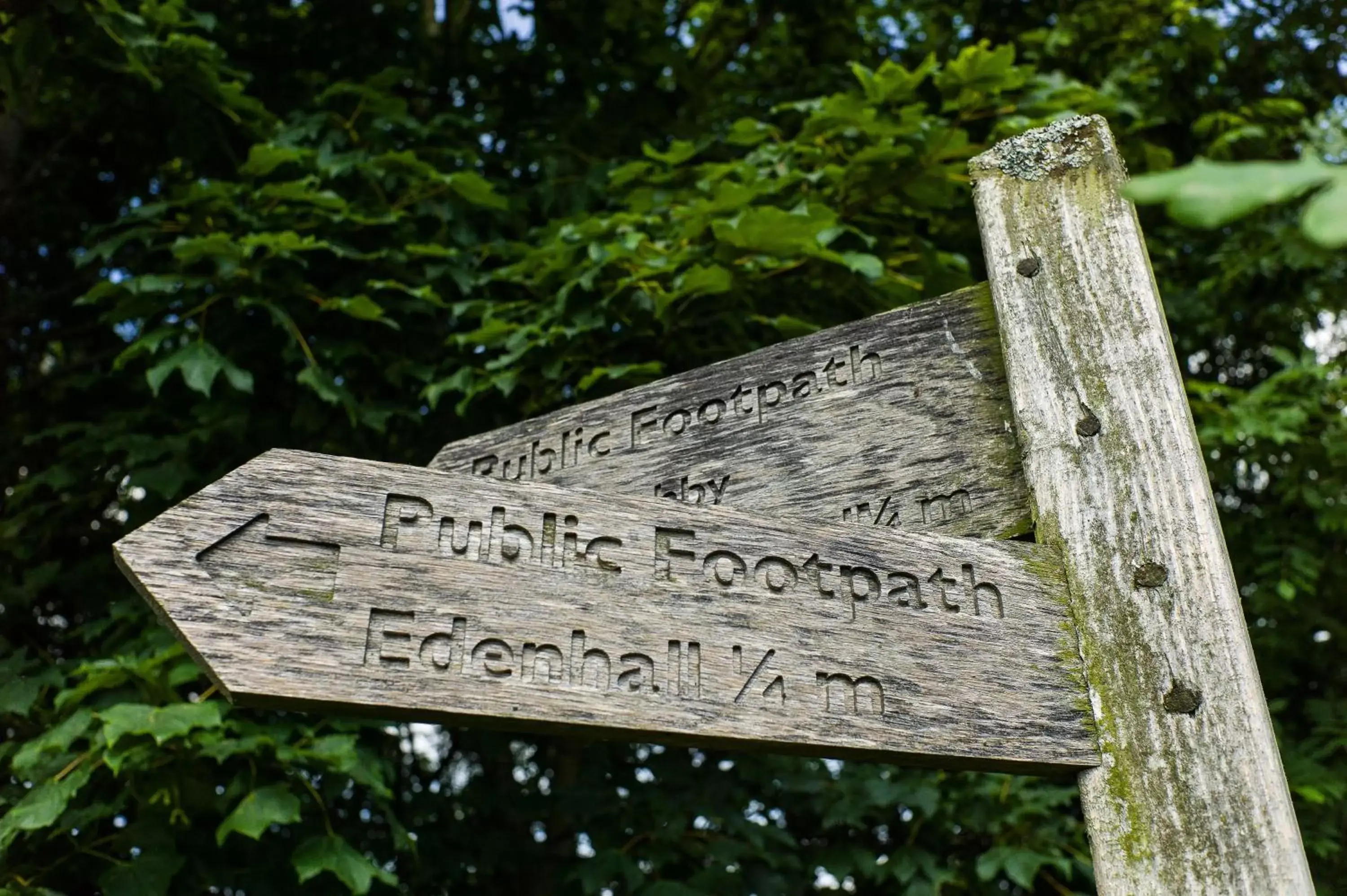 Natural landscape, Property Logo/Sign in Edenhall Country Hotel