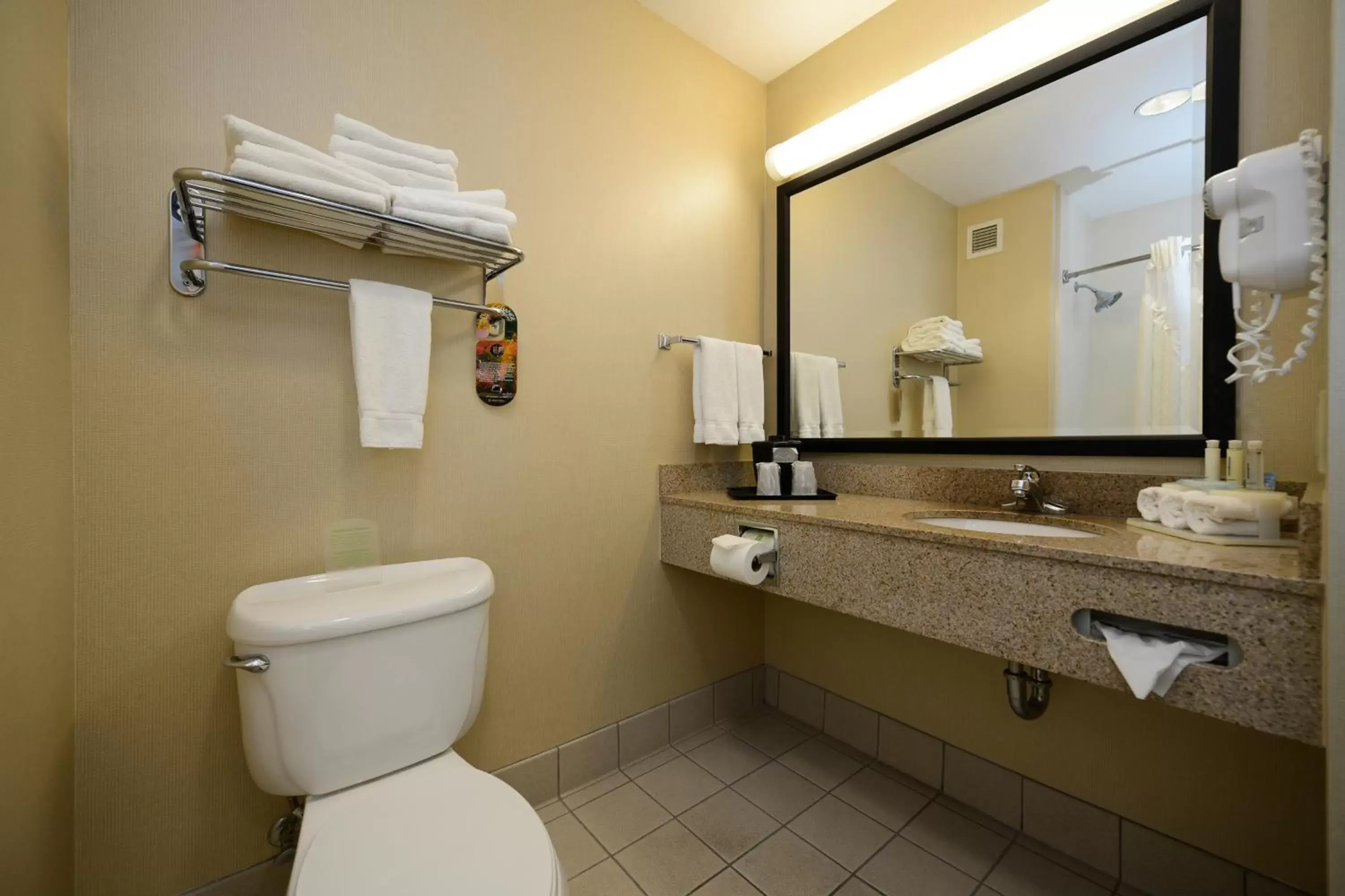 Bathroom in Holiday Inn Express & Suites Elk Grove West I-5