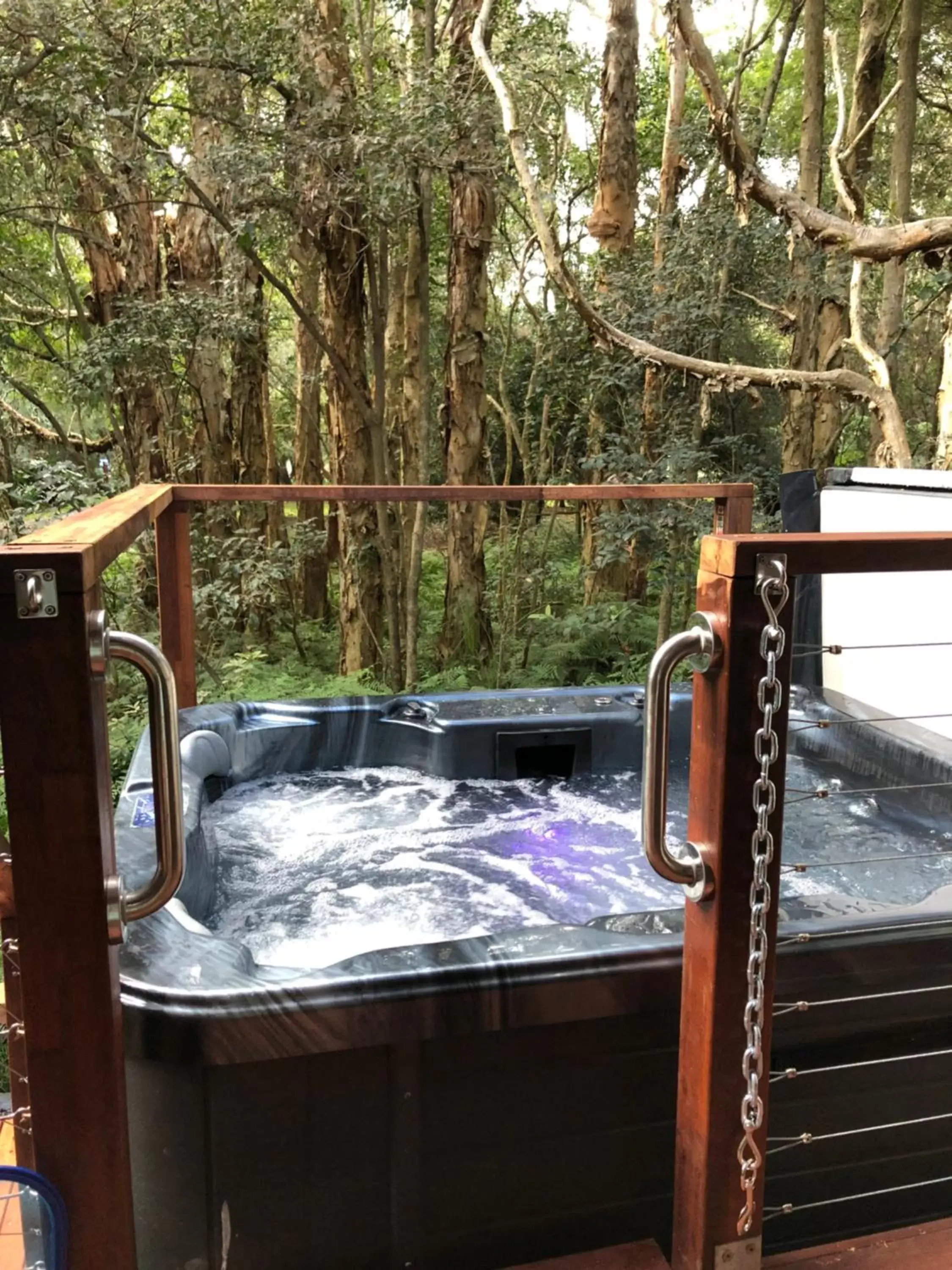 Hot Tub in Wanderers Retreat
