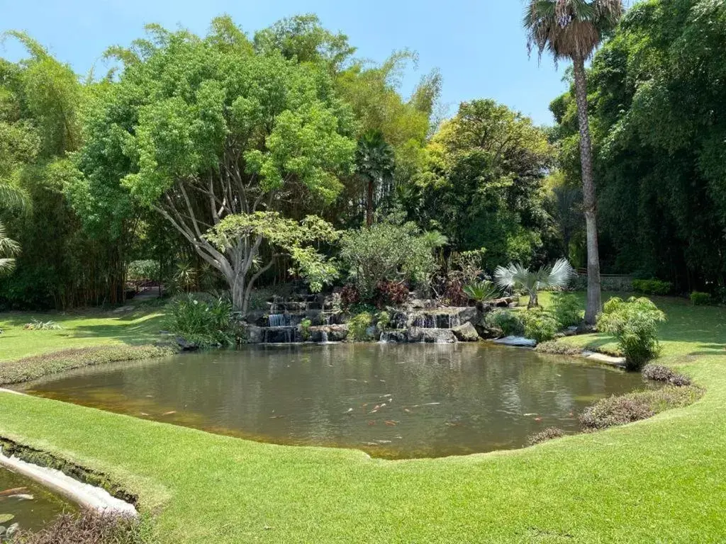 Garden in Huayacán Cuernavaca Curamoria Collection