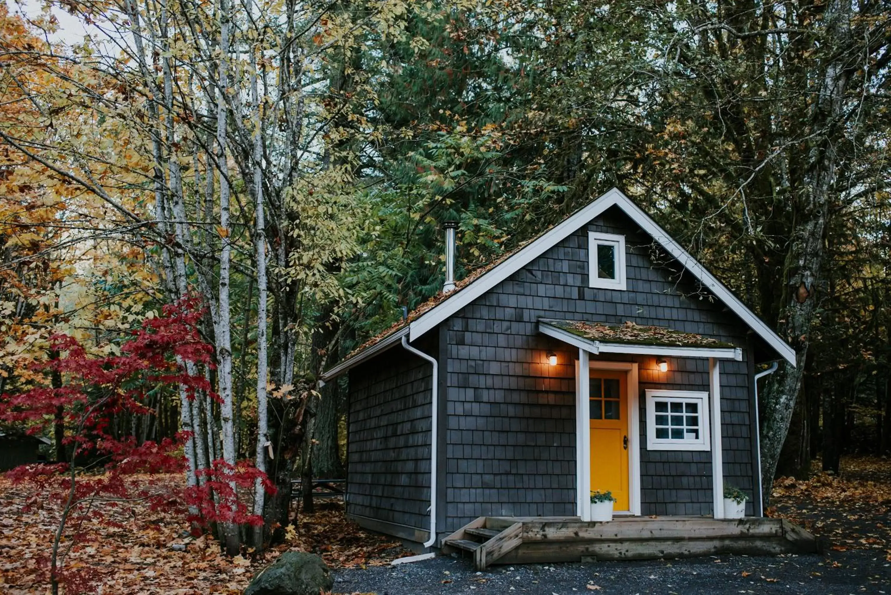 Property Building in Sunwolf Riverside Cabins