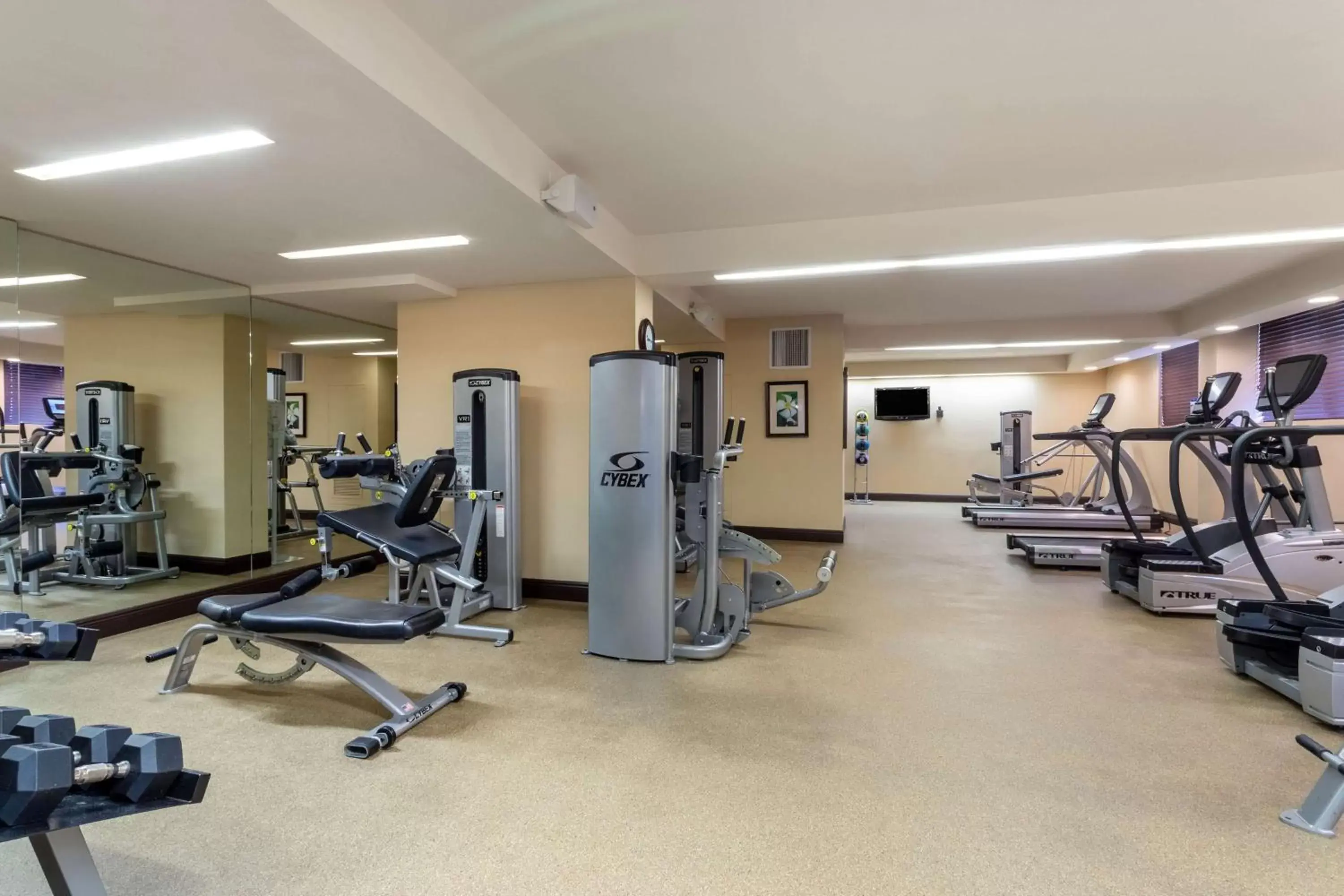 Activities, Fitness Center/Facilities in Wyndham Deerfield Beach Resort