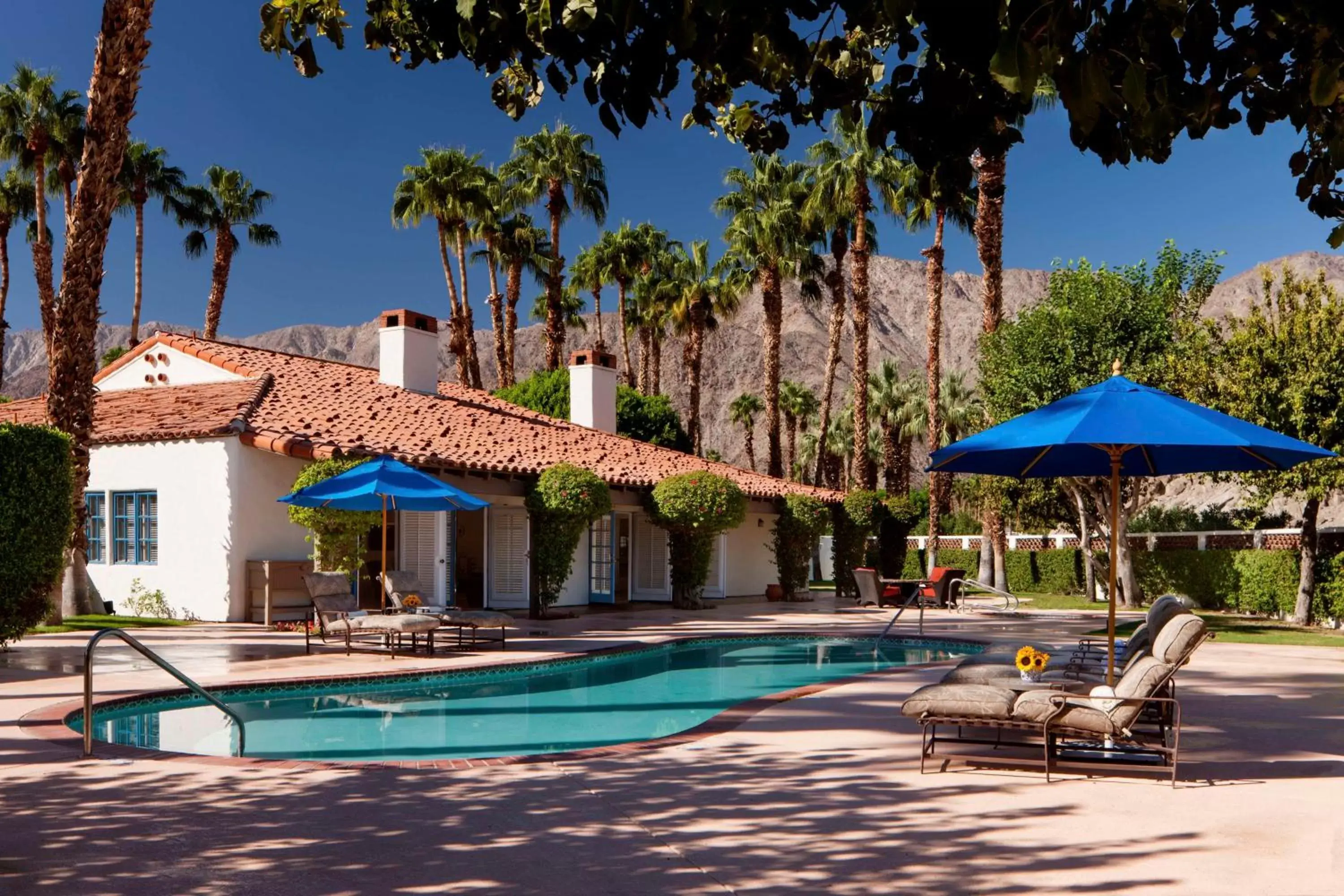 Pool view, Swimming Pool in La Quinta Resort & Club, Curio Collection