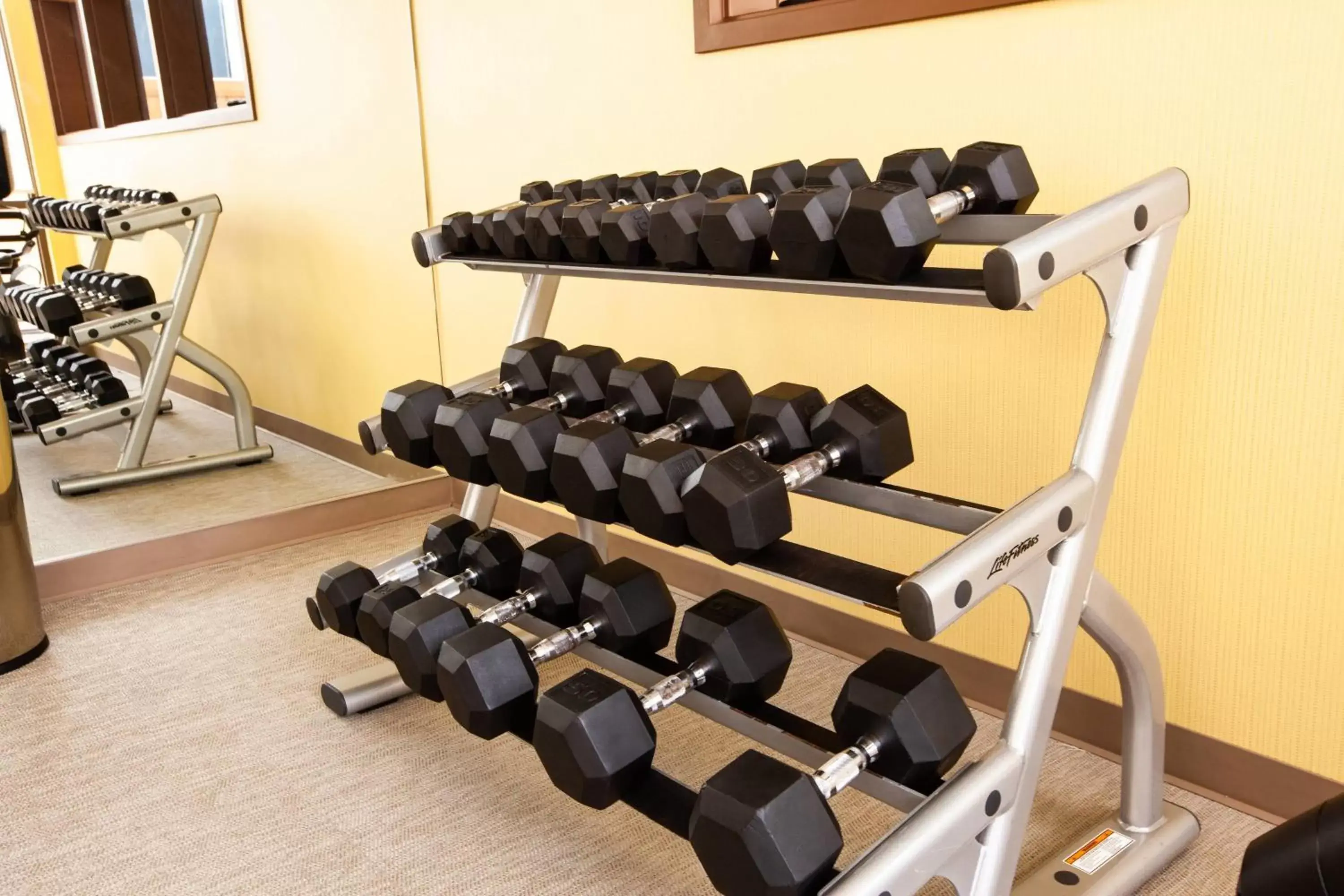 Fitness centre/facilities, Fitness Center/Facilities in SpringHill Suites Wenatchee