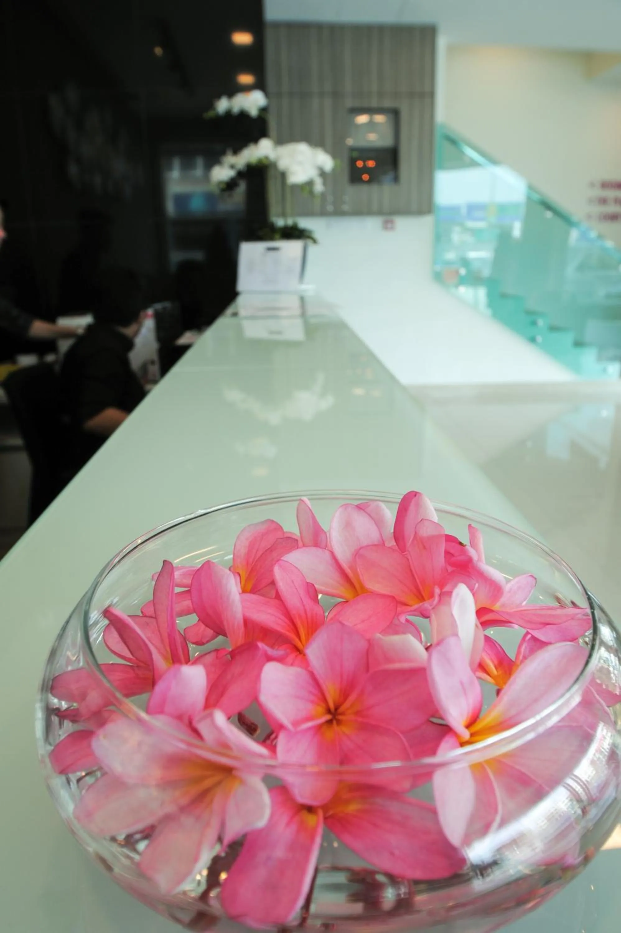 Lobby or reception in Hotel Mezzo