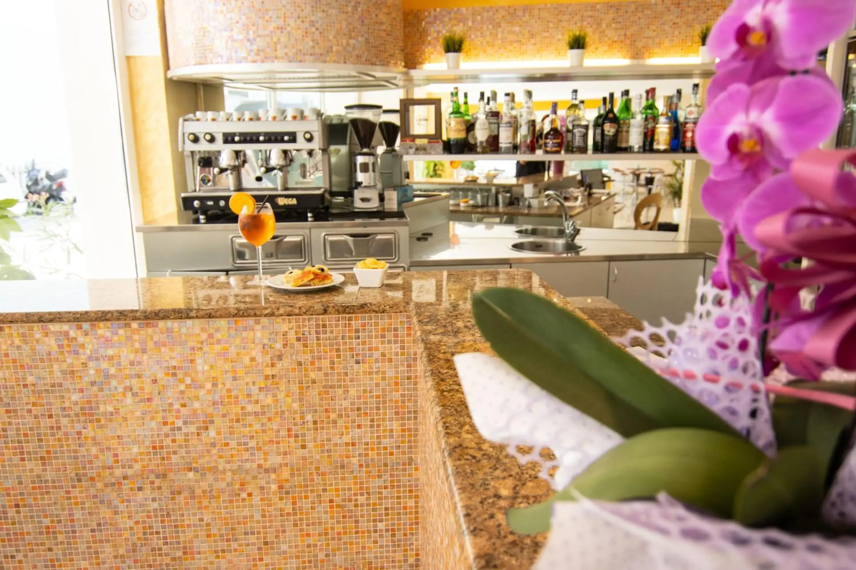 Lounge or bar, Lounge/Bar in HOTEL ADRIA BEACH