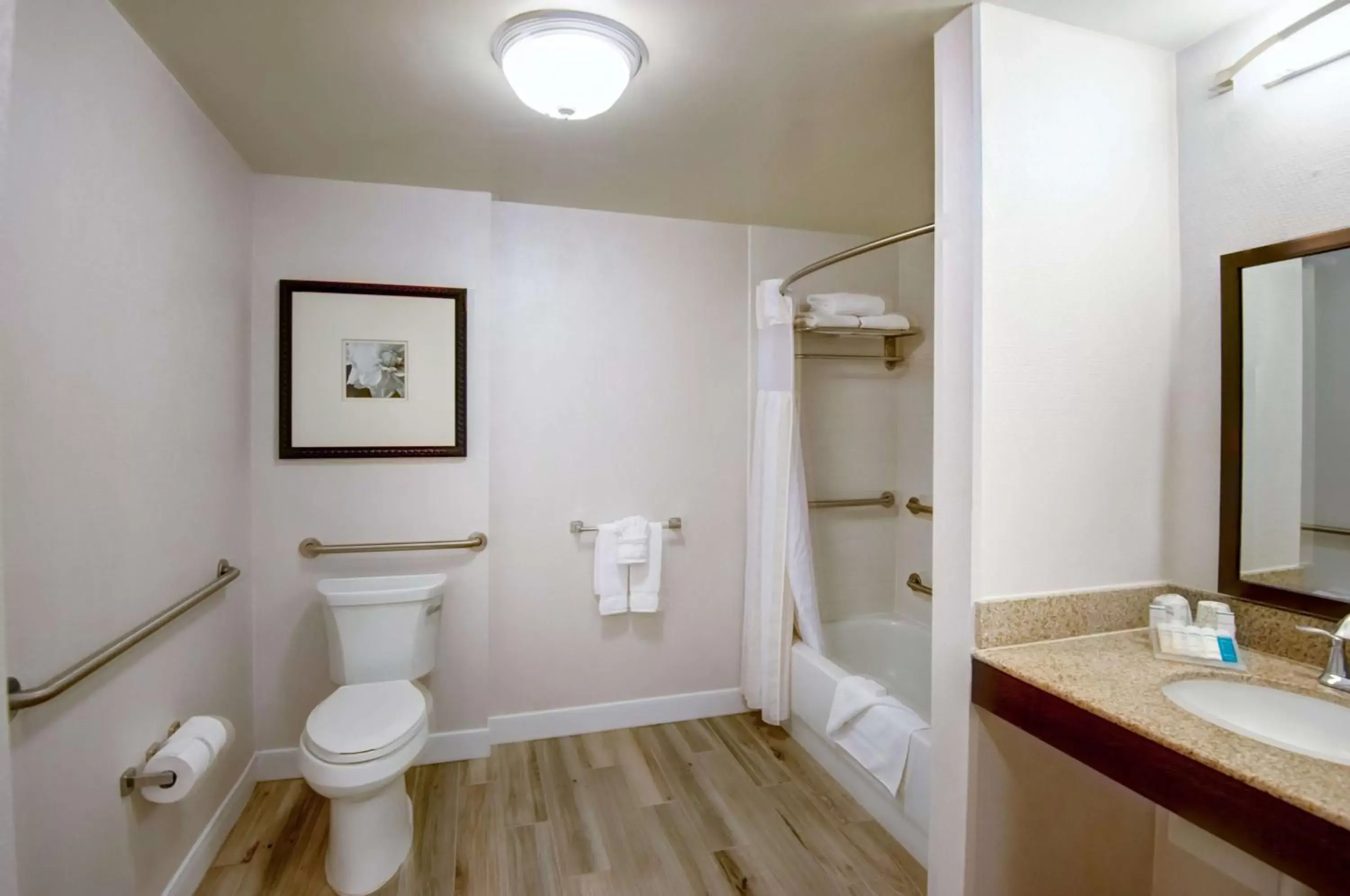 Bathroom in Hilton Garden Inn Tampa Ybor Historic District