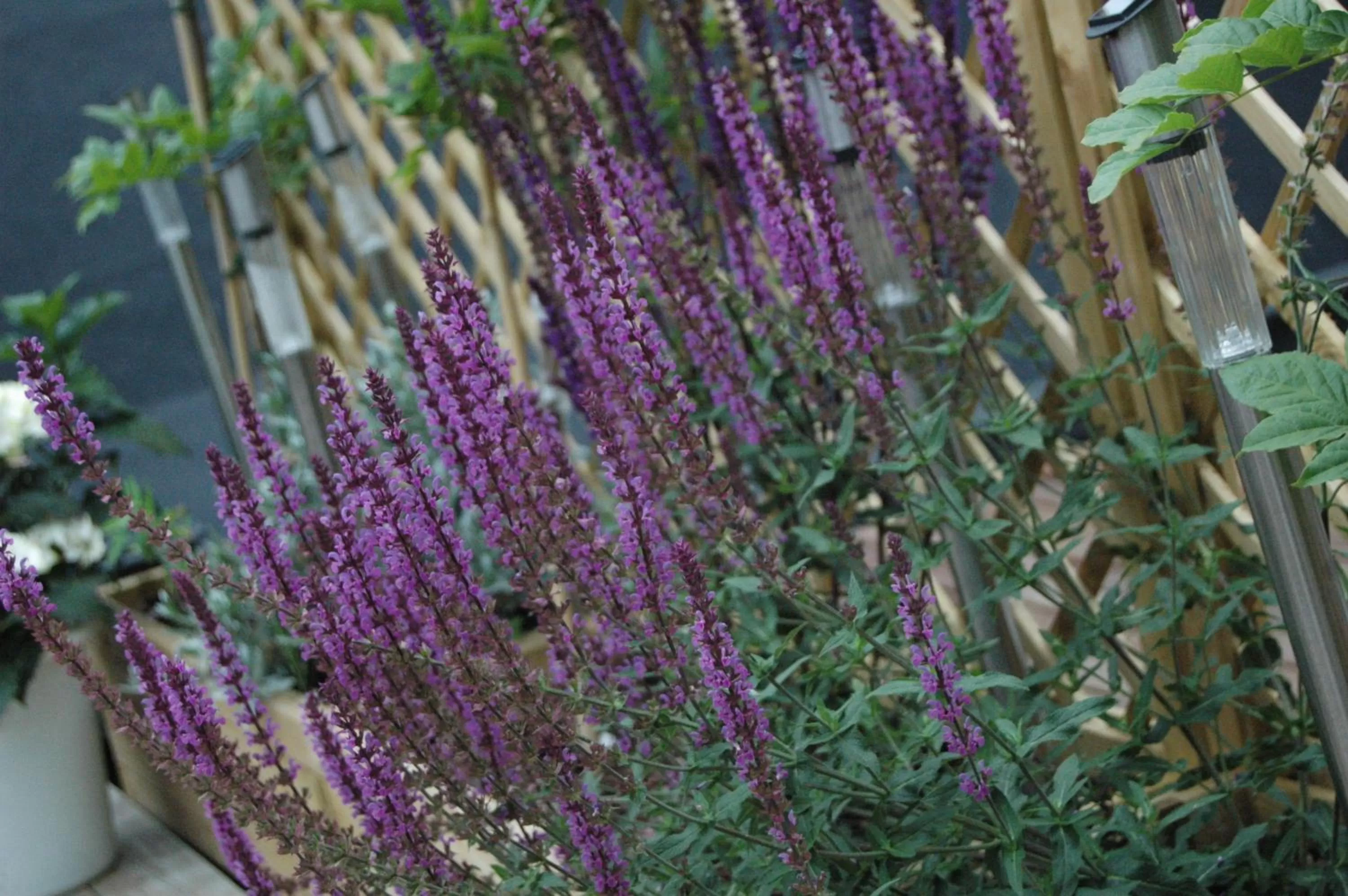 Decorative detail in B&B Family@home66