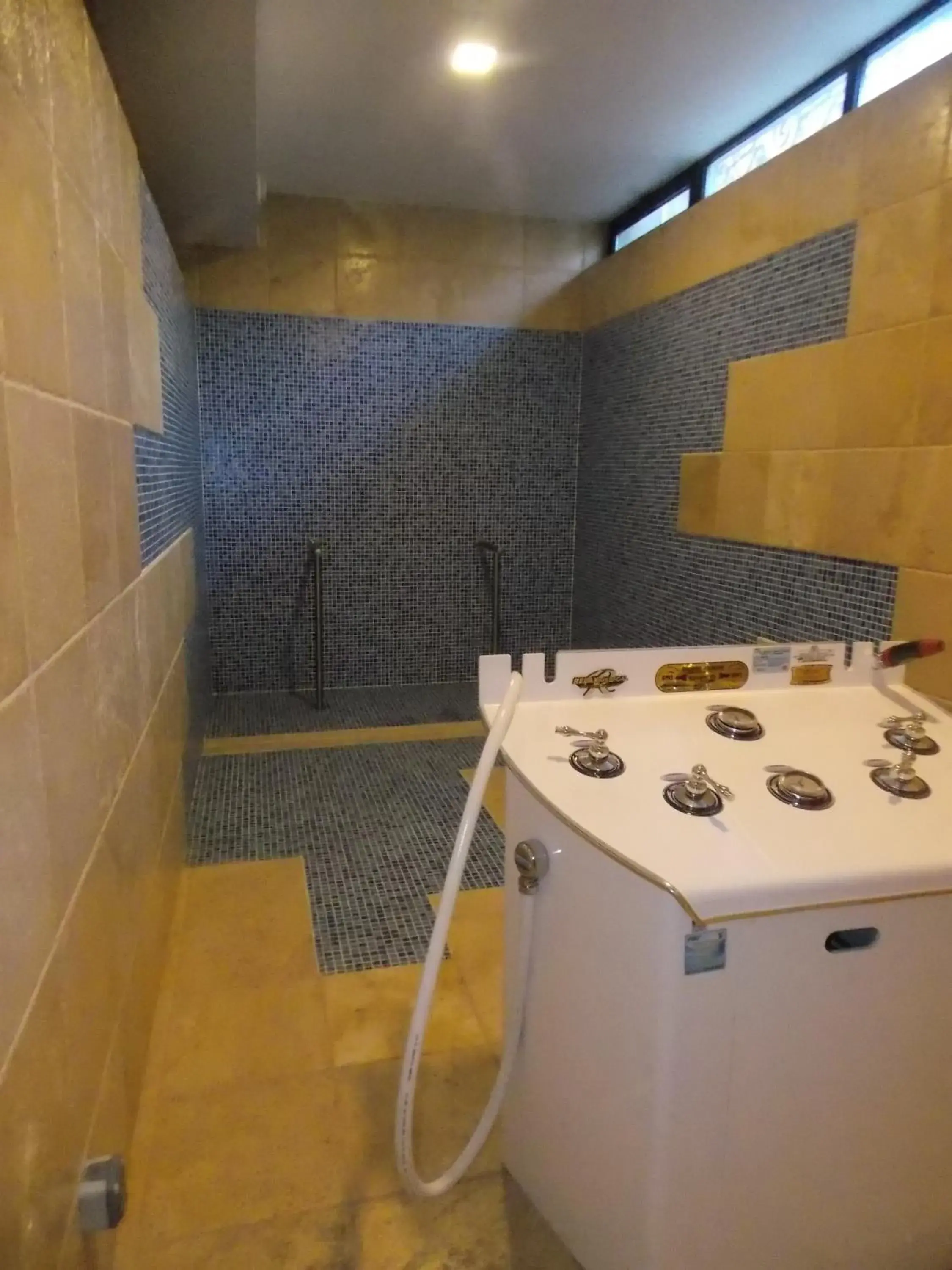 Spa and wellness centre/facilities, Bathroom in Hotel ZP Palace