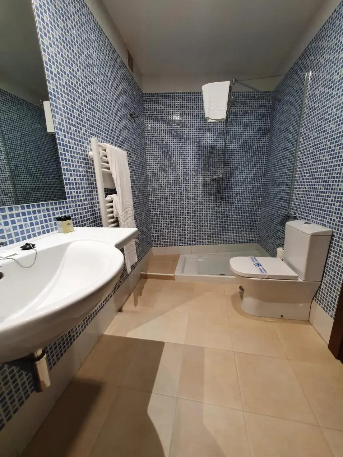 Toilet, Bathroom in Hotel 40 Nudos