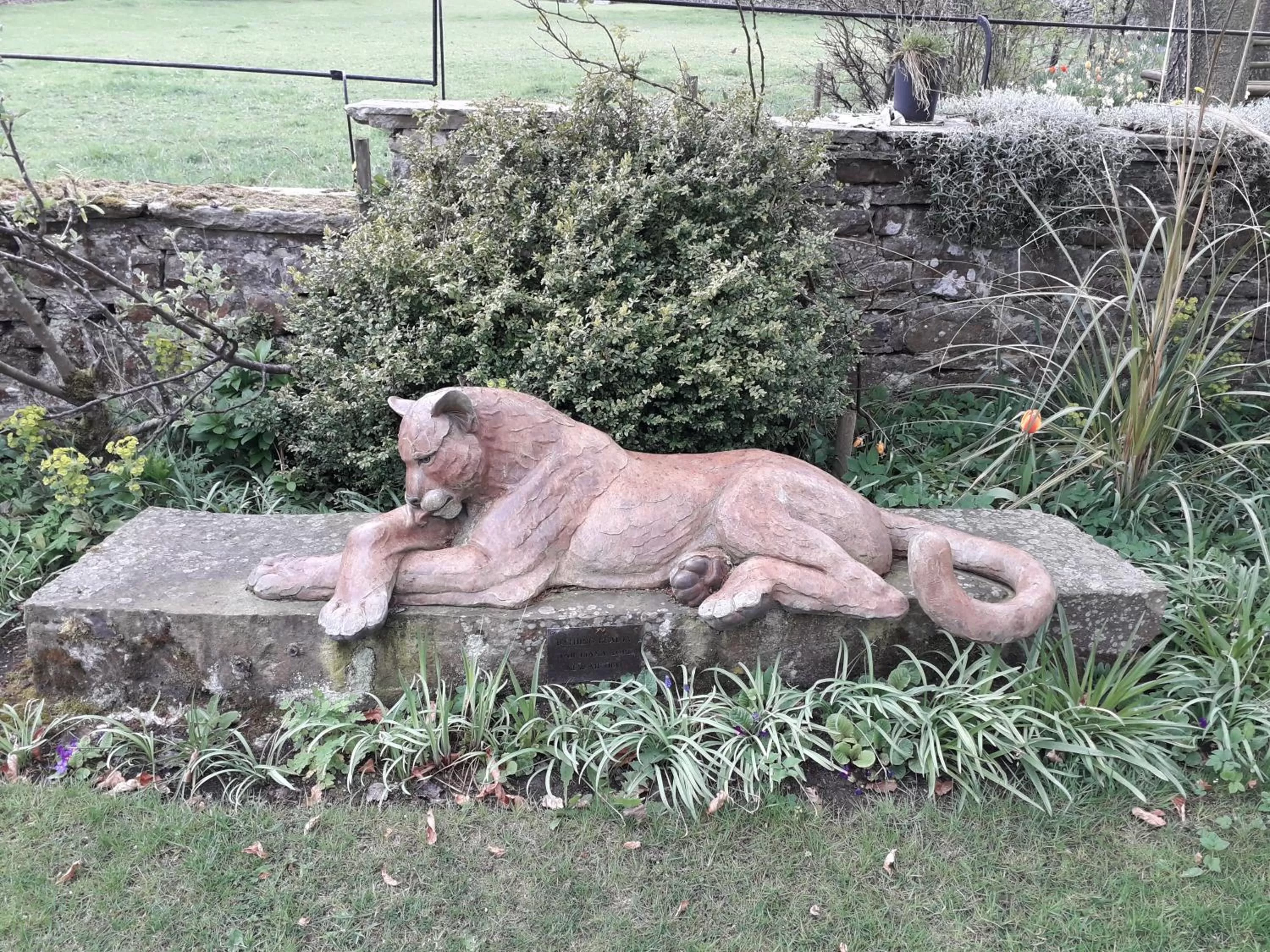 Animals in Thornley House