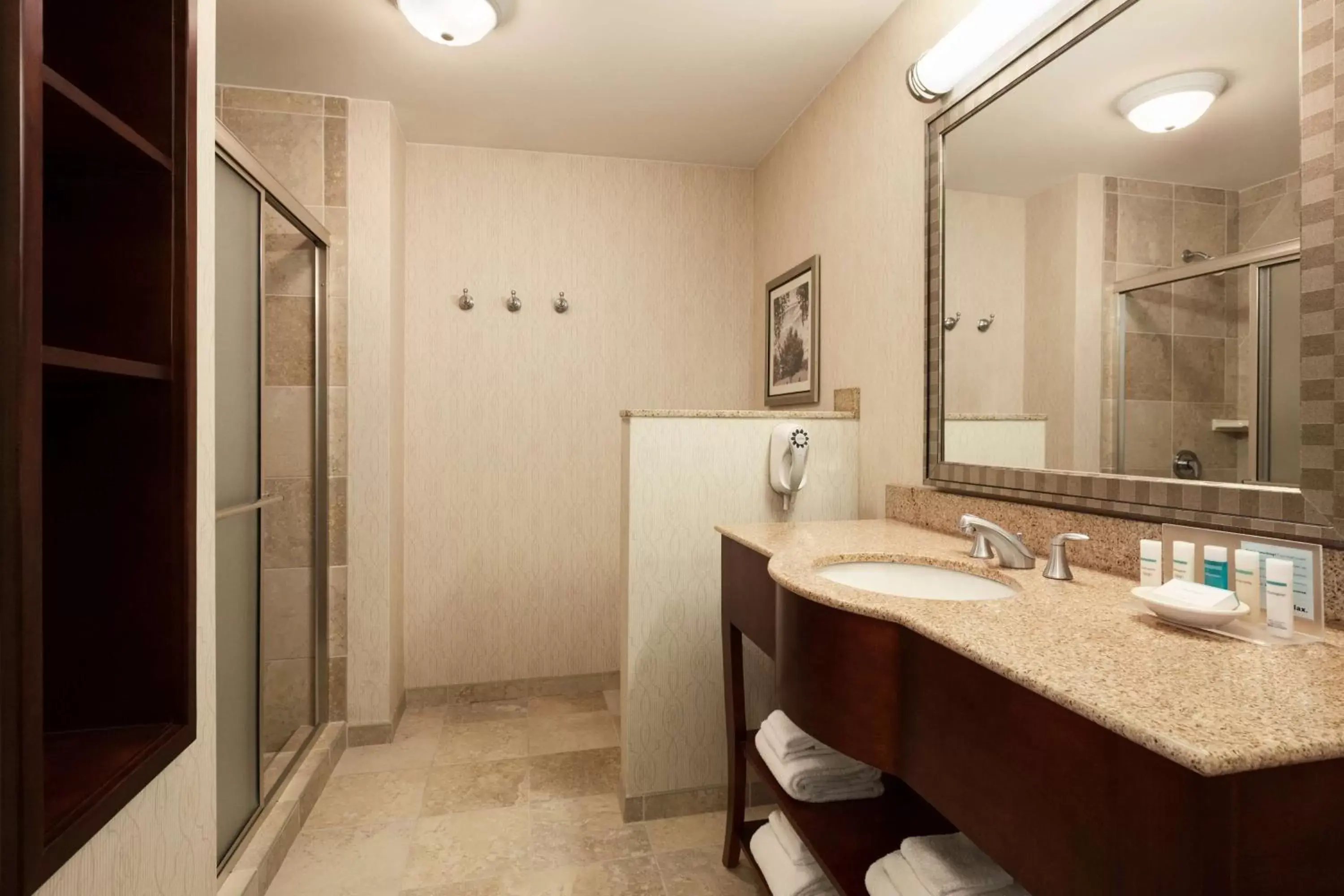 Bathroom in Hampton Inn & Suites Washington-Dulles International Airport