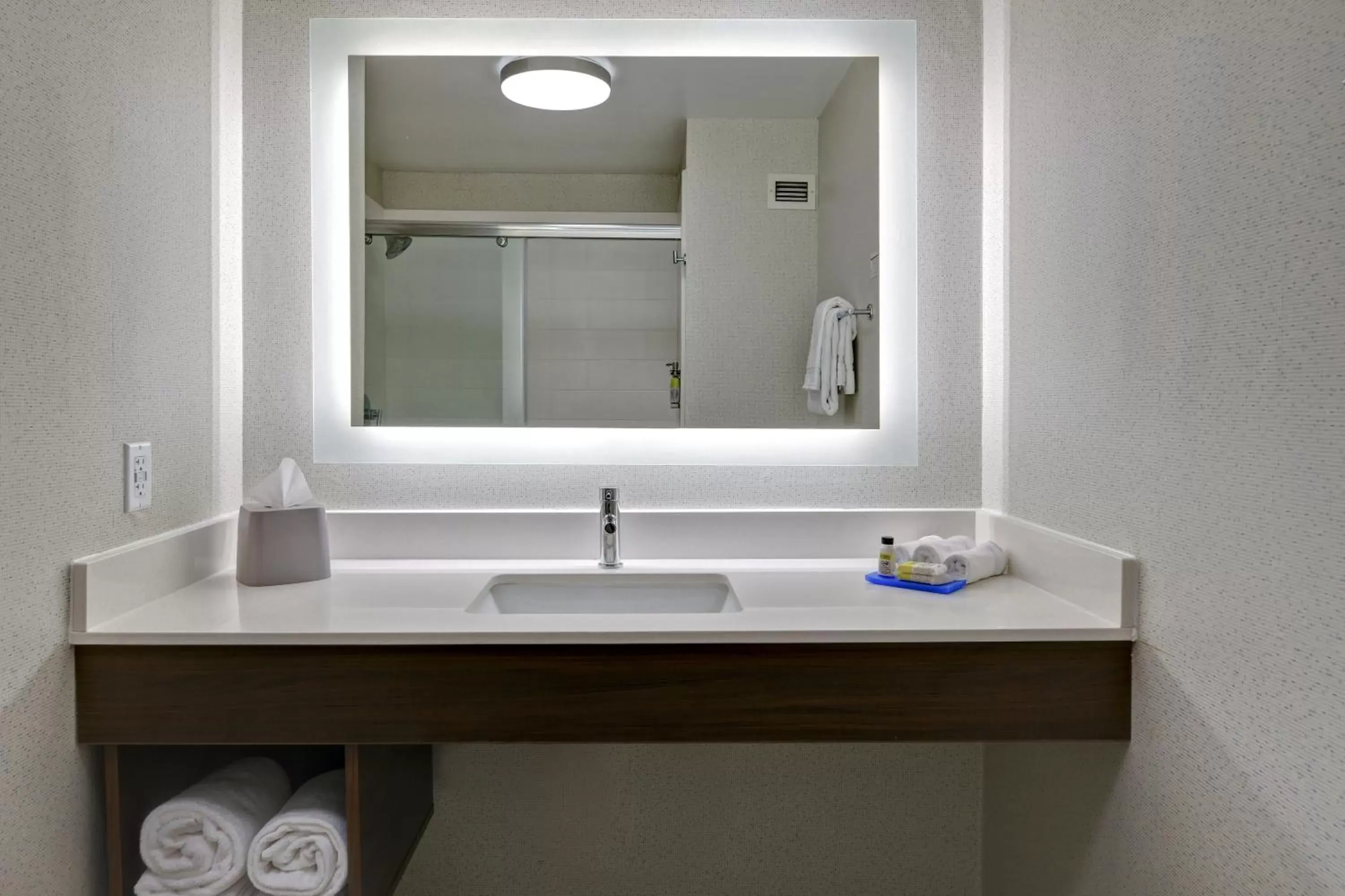 Photo of the whole room, Bathroom in Holiday Inn Express Hotel & Suites Anderson I-85 - HWY 76, Exit 19B, an IHG Hotel