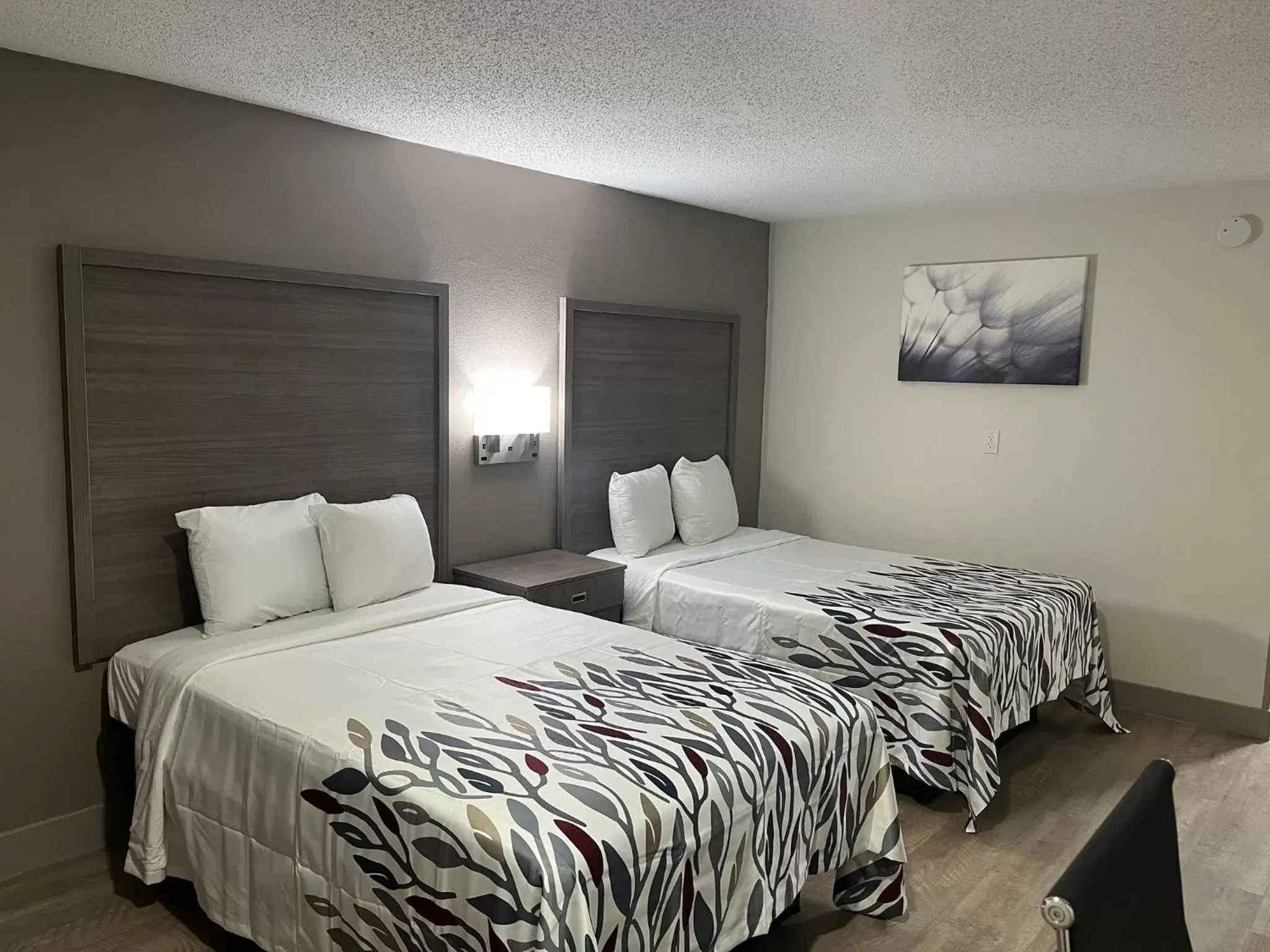 Photo of the whole room, Bed in Mulberry Inn and Plaza