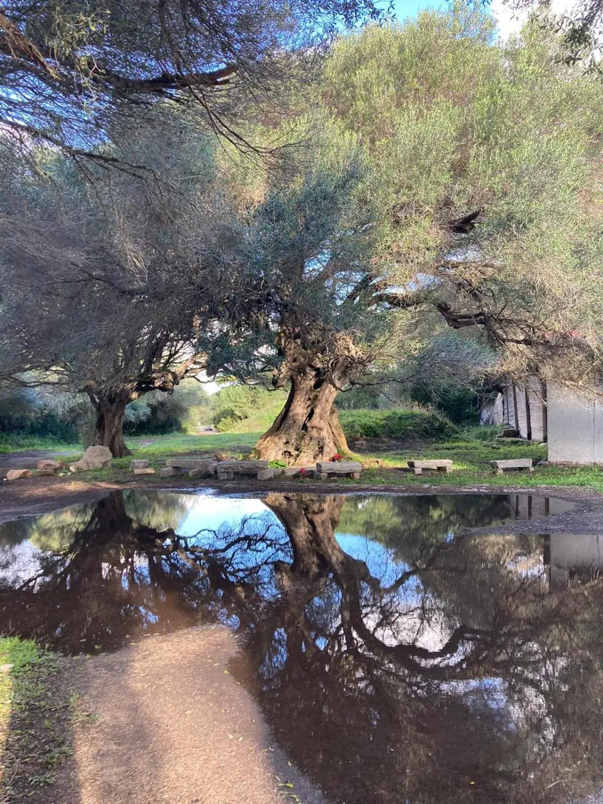 Natural landscape in Hotel Corallaro