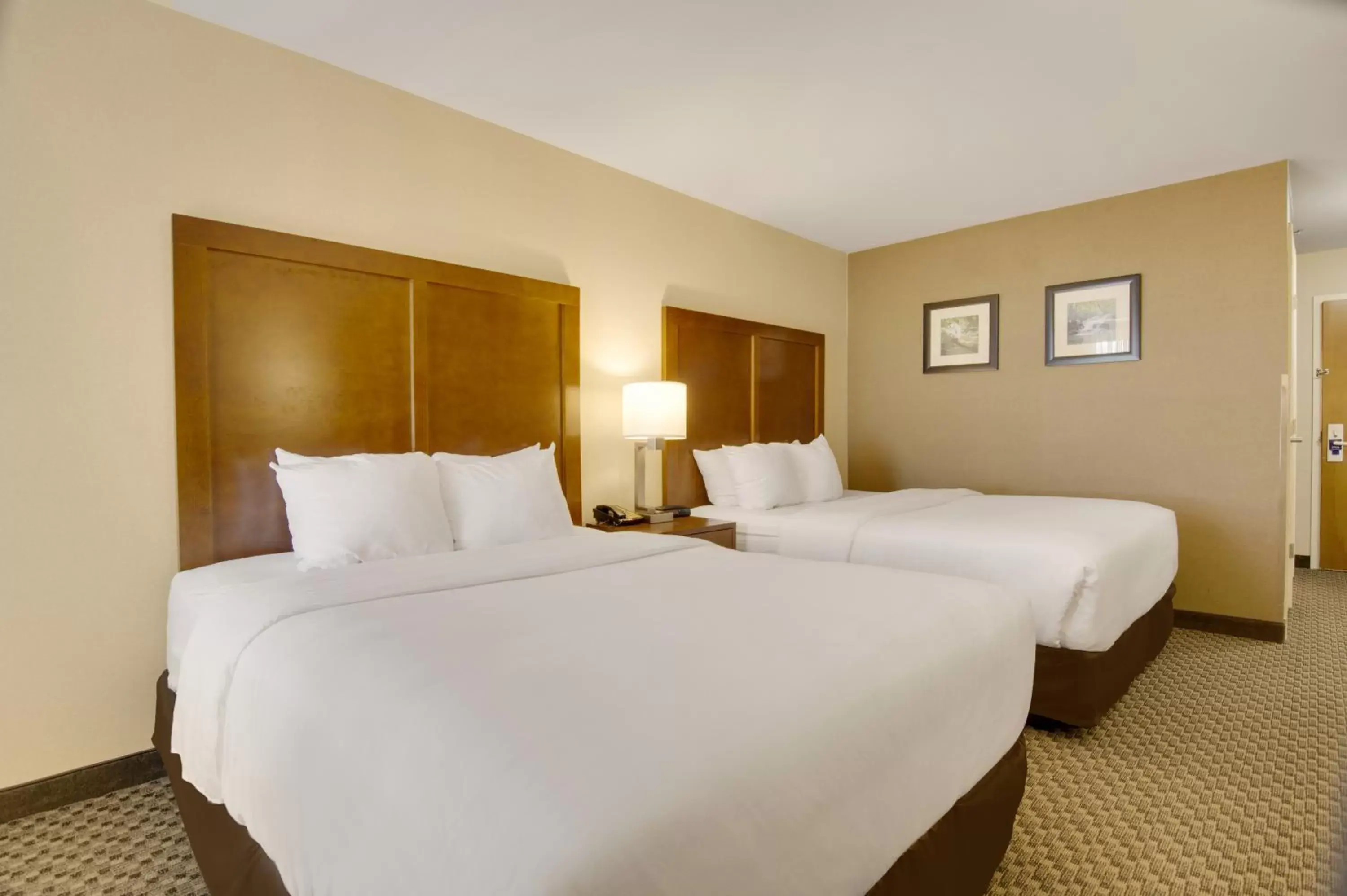 Photo of the whole room, Bed in Comfort Inn Airport Roanoke