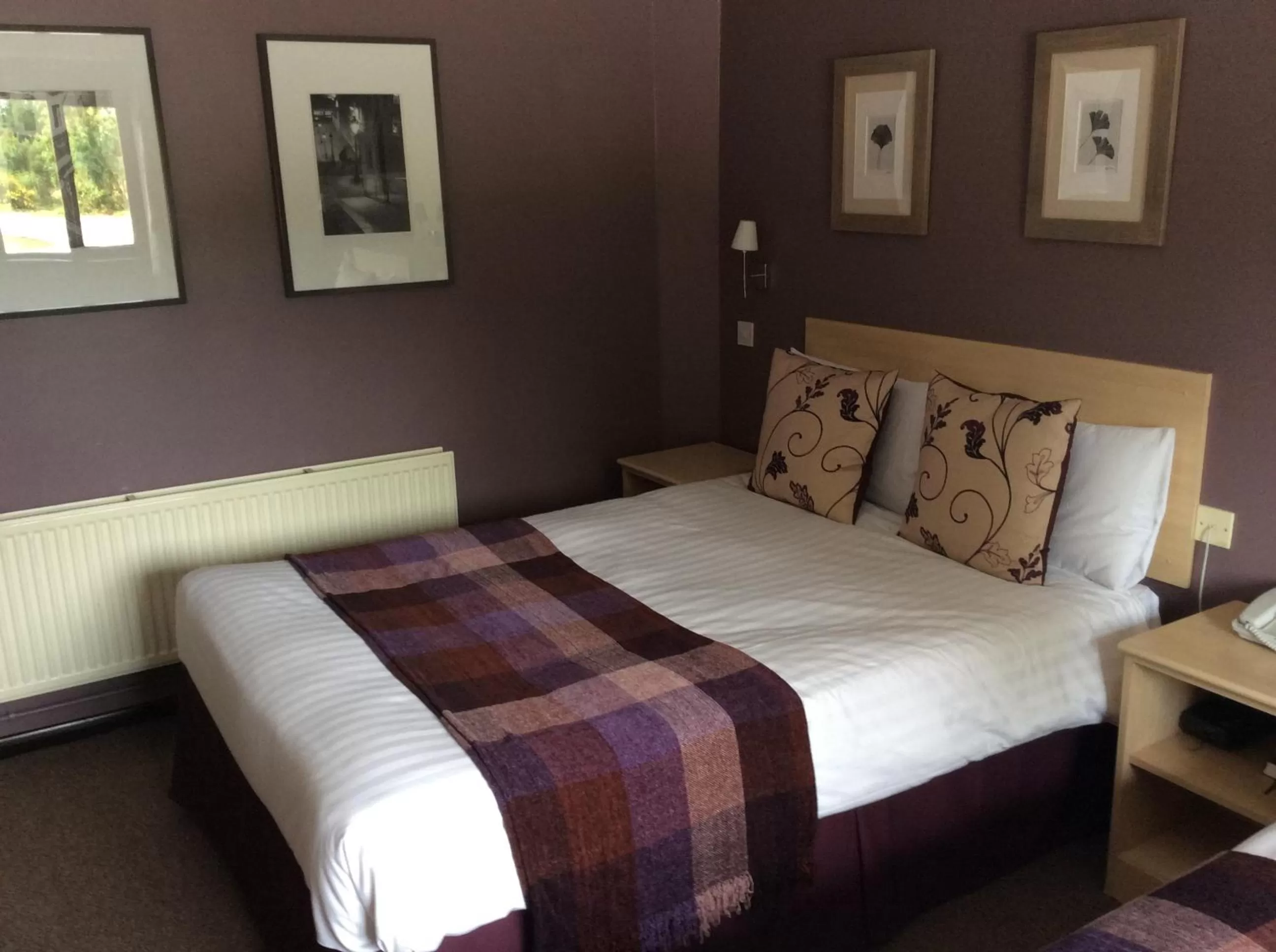 Bedroom, Bed in Yorkway Motel