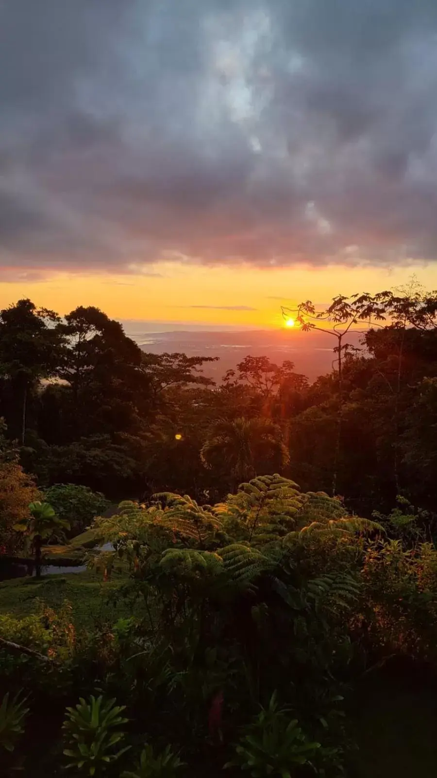 Sunrise/Sunset in Birds & Breakfast Costa Rica