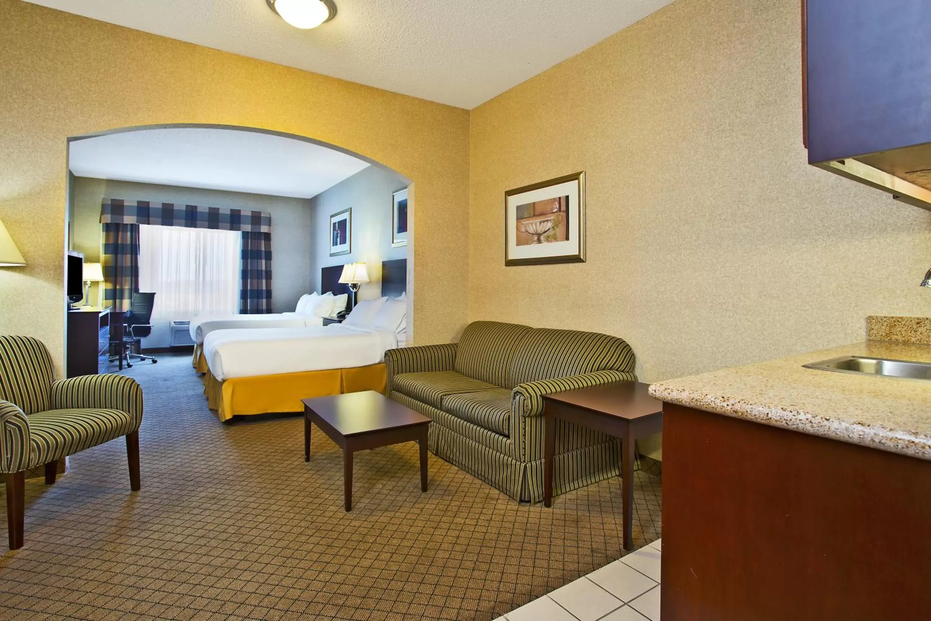 Photo of the whole room, Seating Area in Holiday Inn Express Hotel & Suites Anderson, an IHG Hotel