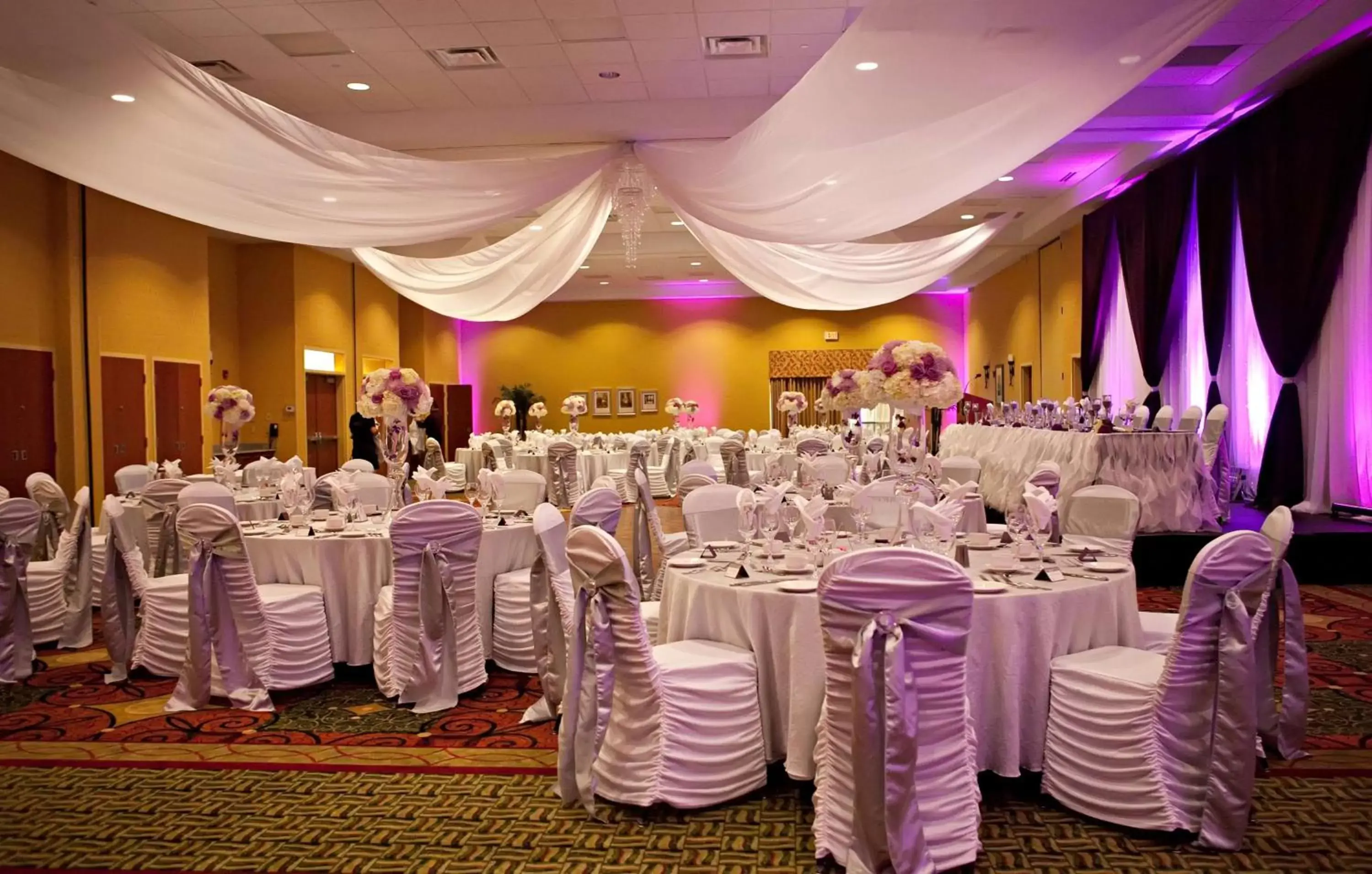 Meeting/conference room, Banquet Facilities in Hilton Garden Inn Ottawa Airport