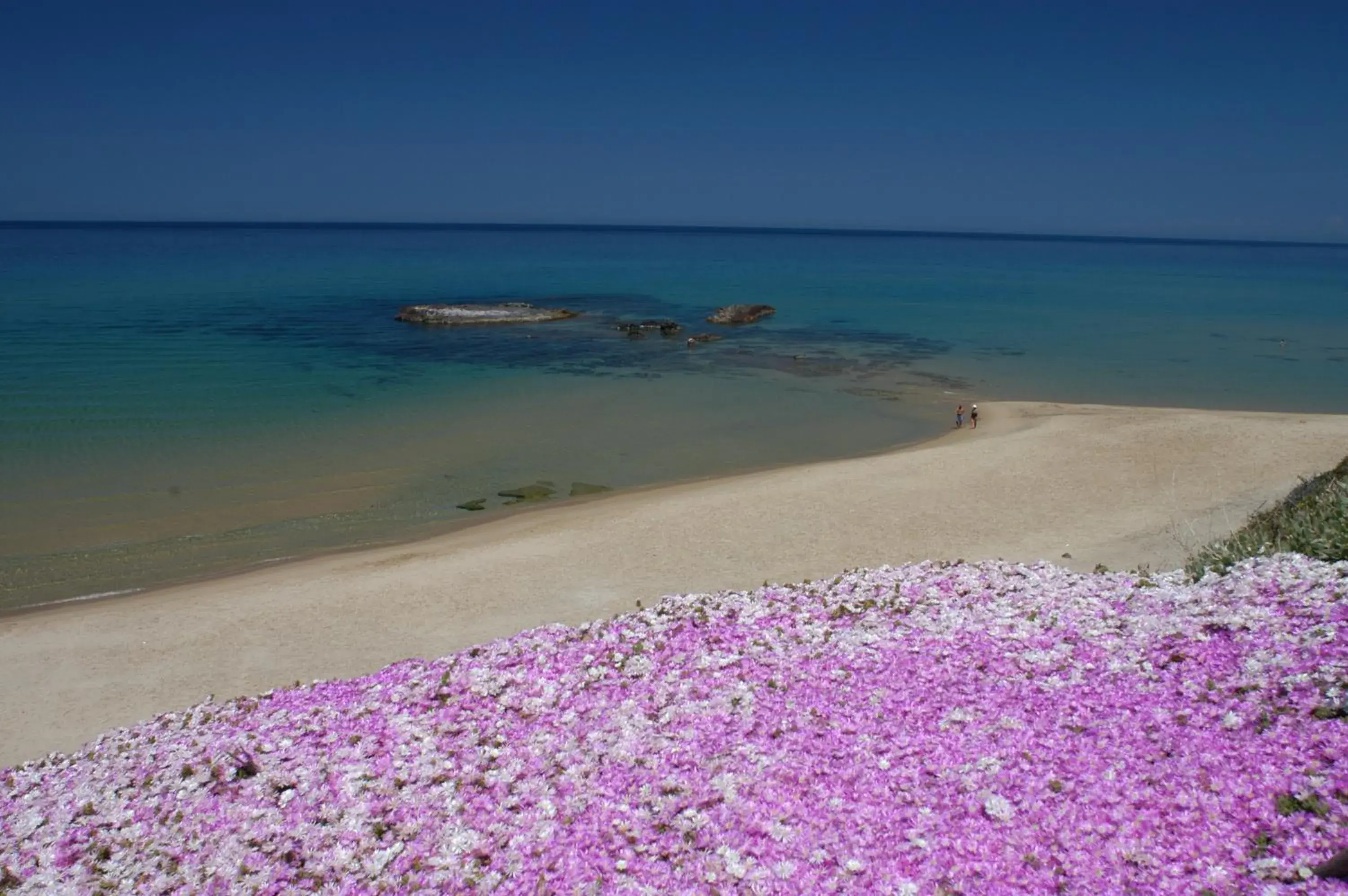 Beach in Best Western Hotel Blumarea