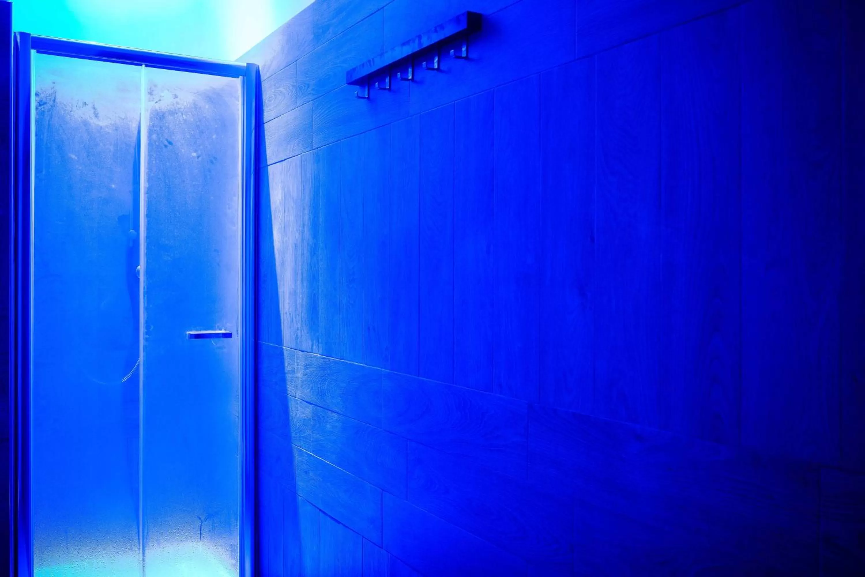 Shower in La Chicca B&B Siena