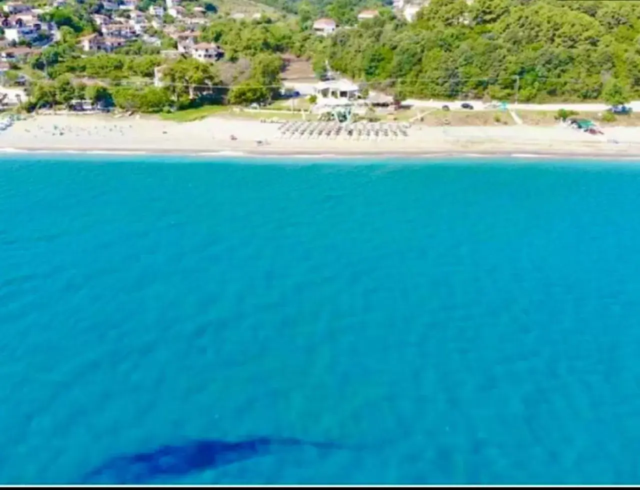 Day, Bird's-eye View in Hotel Christina - Happy Days