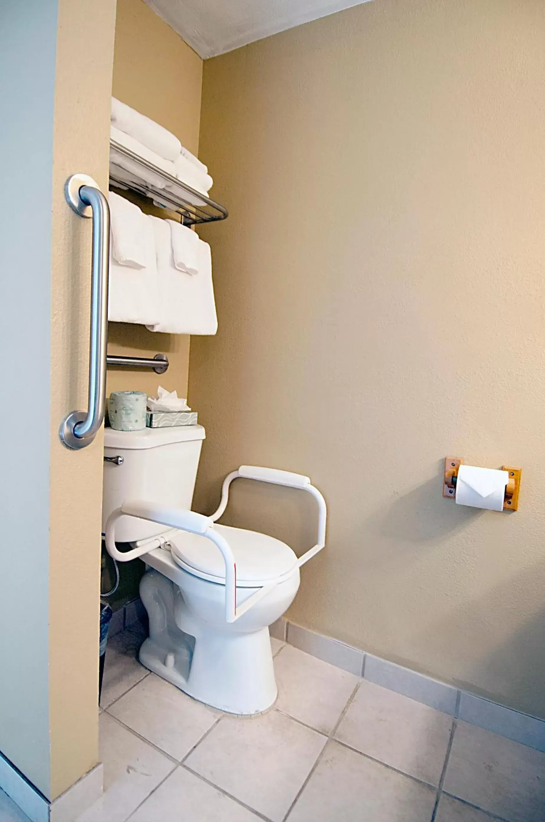 Toilet, Bathroom in Tremont Lodge & Resort