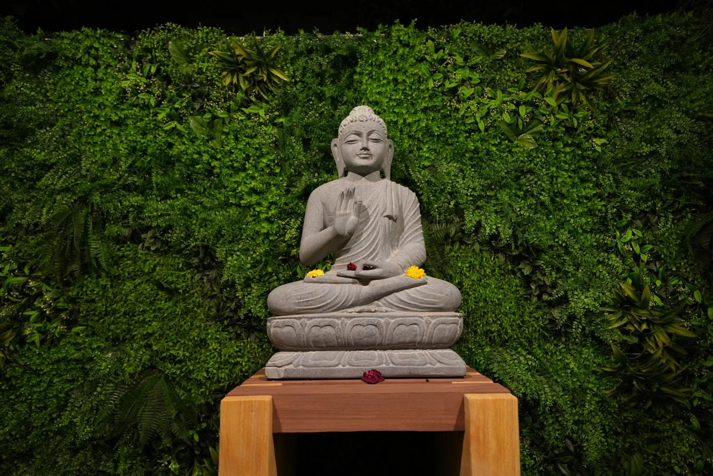 Night in Eden Park Boutique Hotel