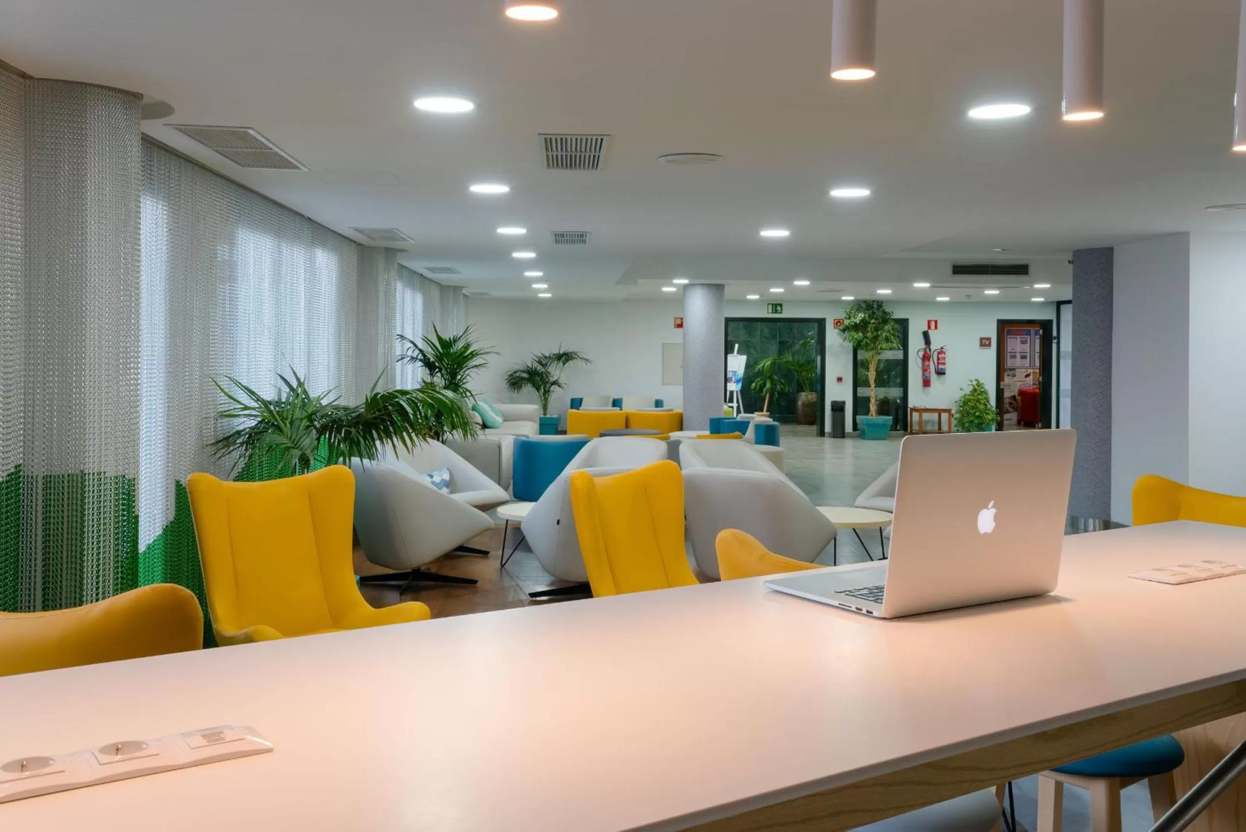 Library in Relaxia Lanzaplaya